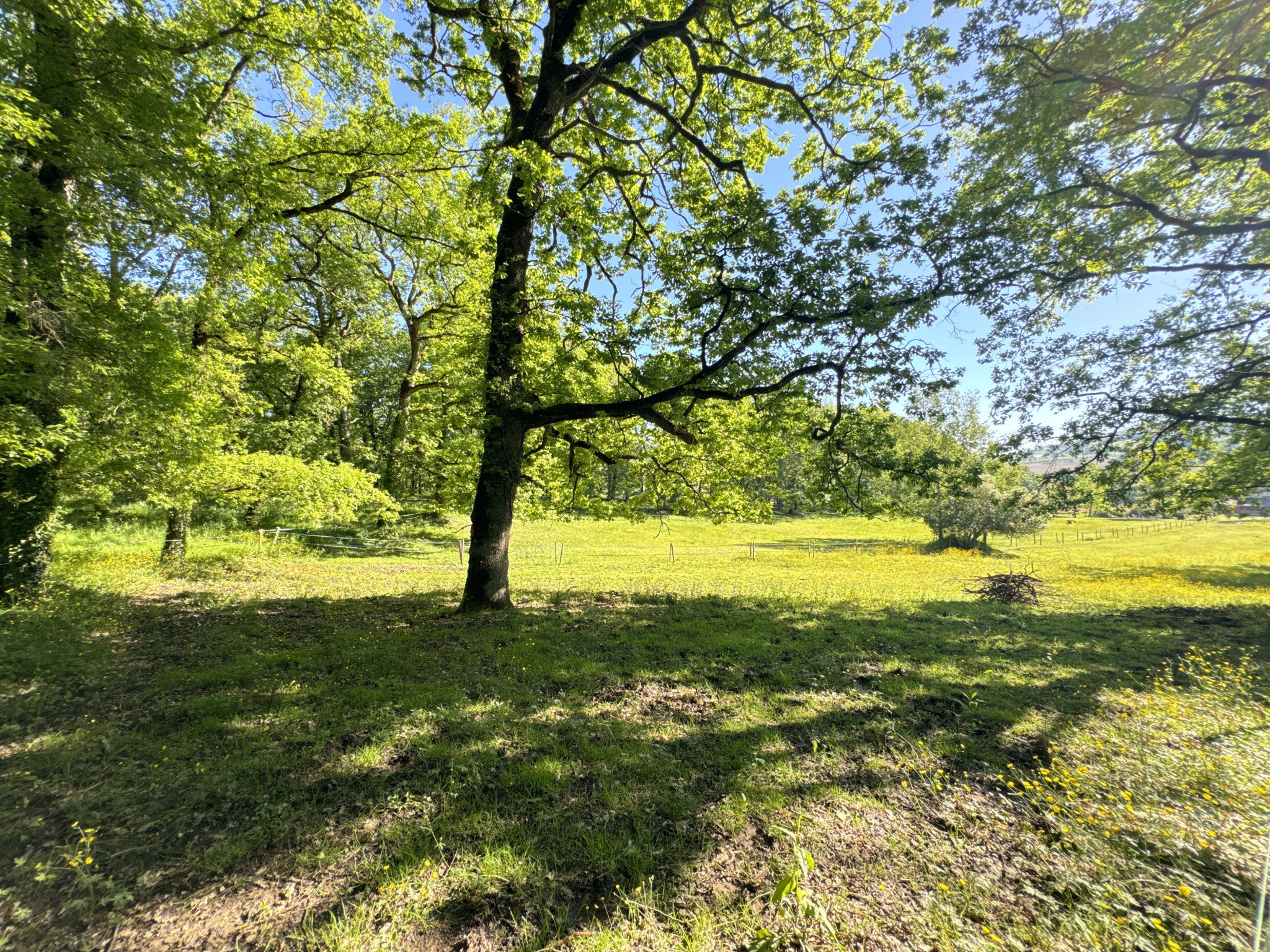 Vente Maison à Saint-Sylvestre-sur-Lot 9 pièces