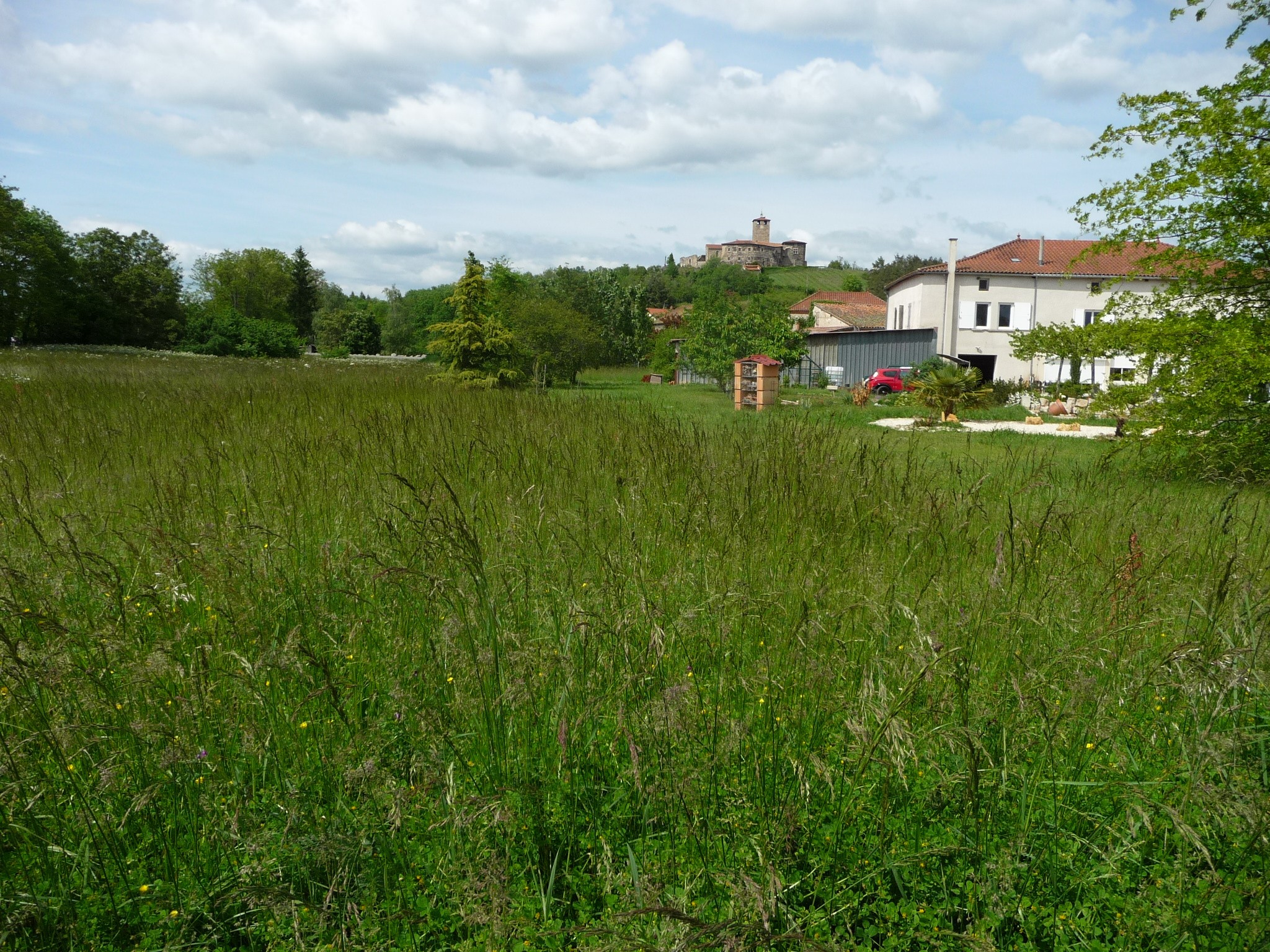 Vente Maison à Montverdun 14 pièces