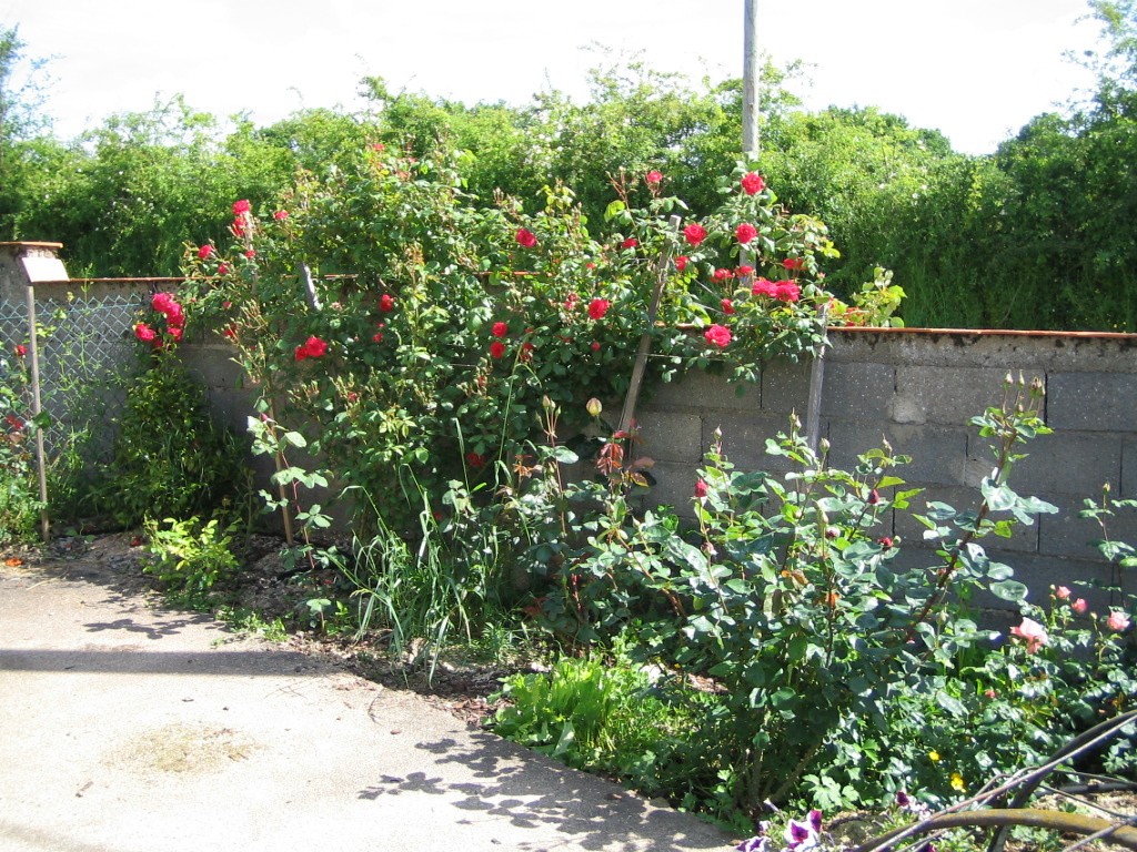 Vente Maison à Saint-Caprais 4 pièces