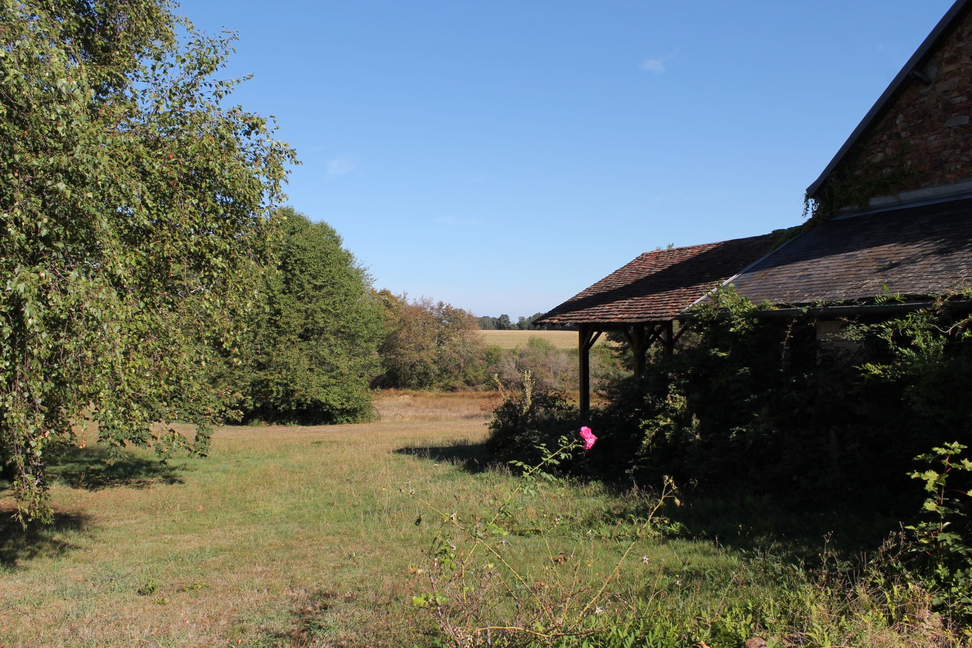 Vente Maison à Vesdun 9 pièces