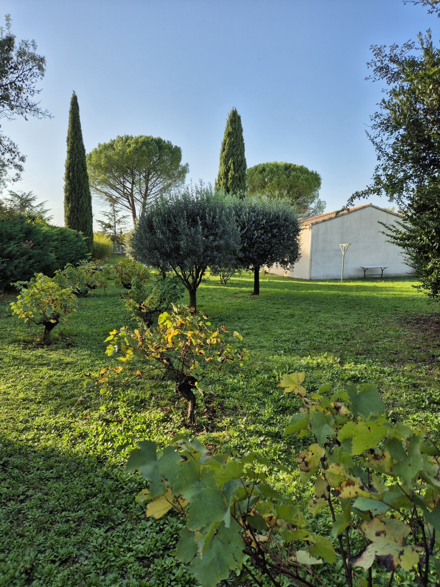 Vente Maison à Ribaute-les-Tavernes 6 pièces