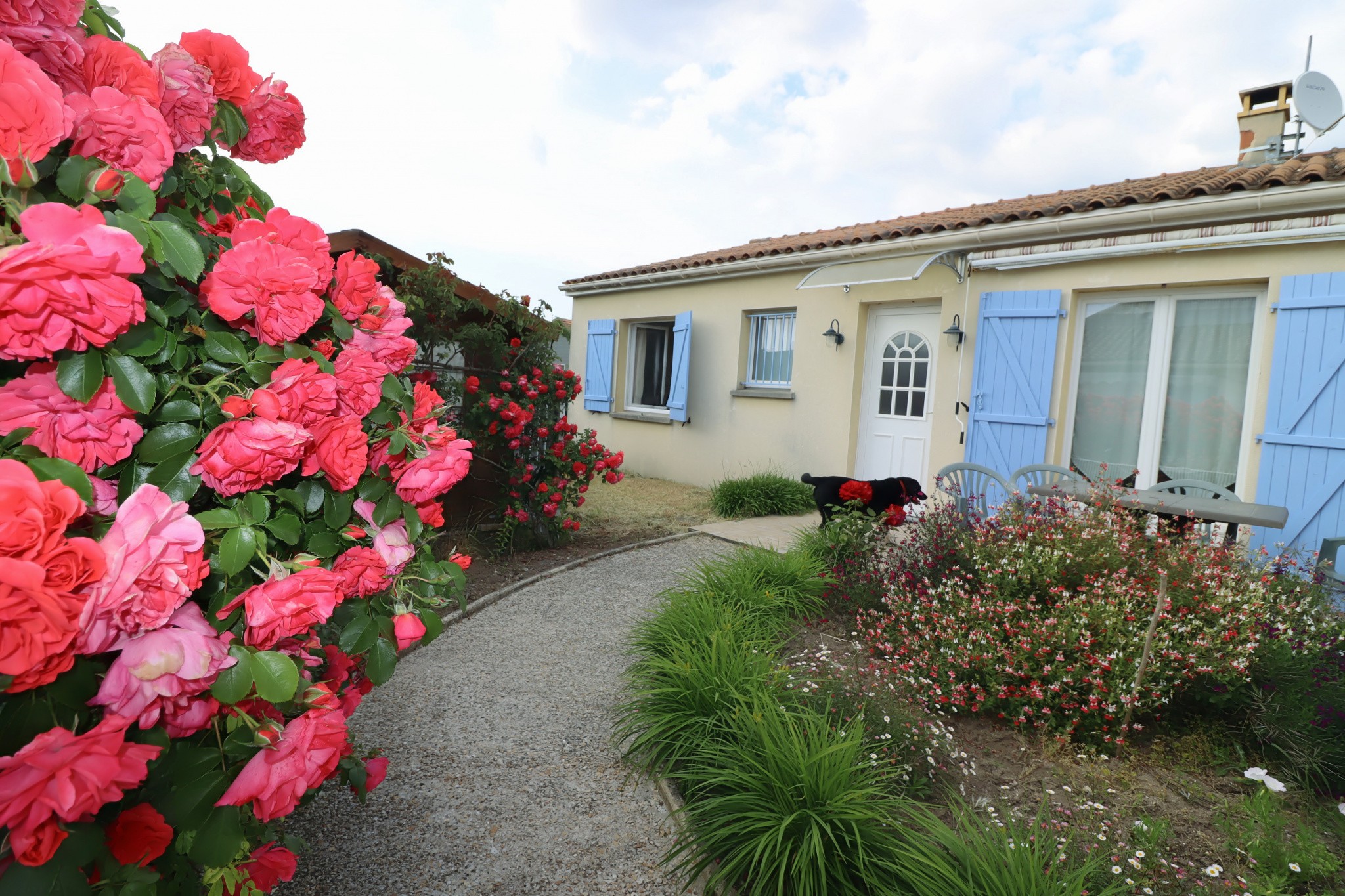 Vente Maison à Meschers-sur-Gironde 4 pièces