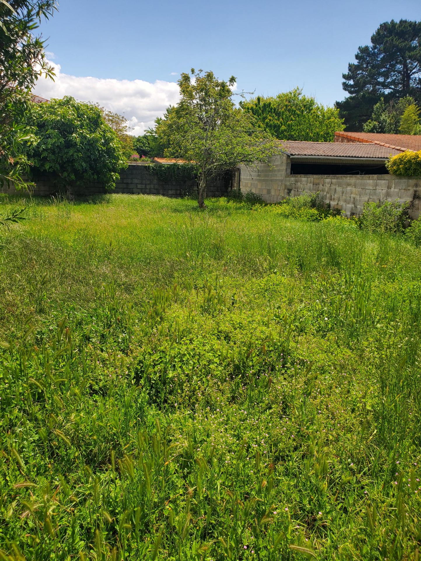 Vente Terrain à Saint-Palais-sur-Mer 0 pièce