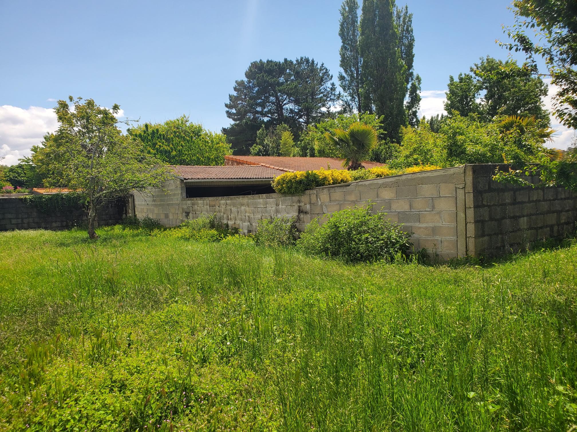 Vente Terrain à Saint-Palais-sur-Mer 0 pièce