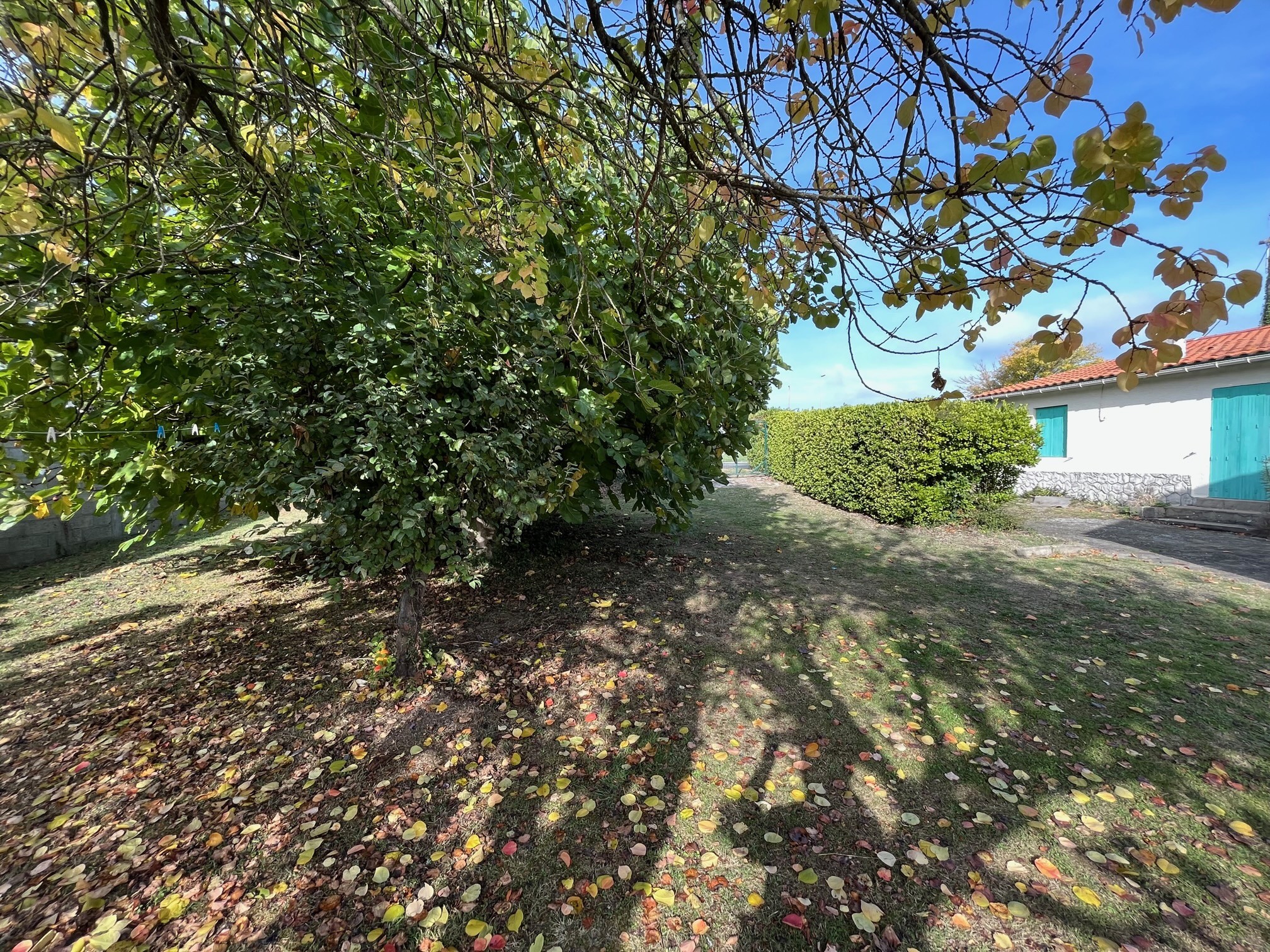 Vente Maison à Meschers-sur-Gironde 5 pièces