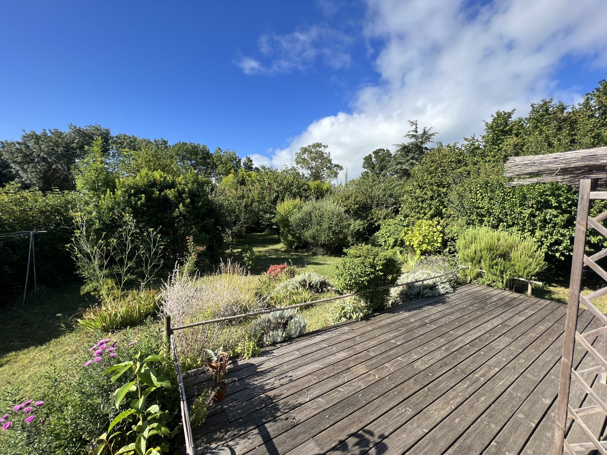 Vente Maison à Meschers-sur-Gironde 5 pièces