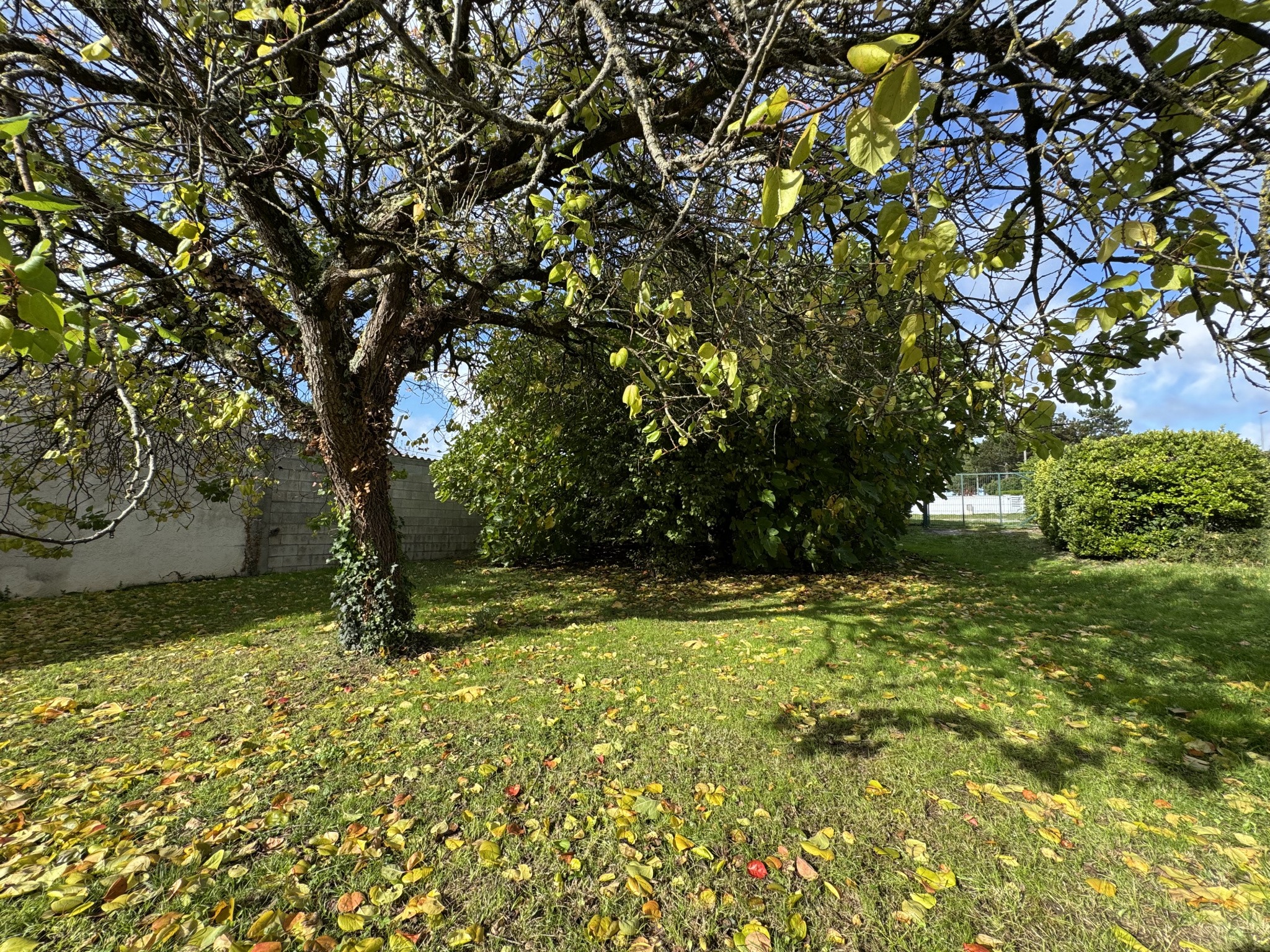 Vente Maison à Meschers-sur-Gironde 5 pièces