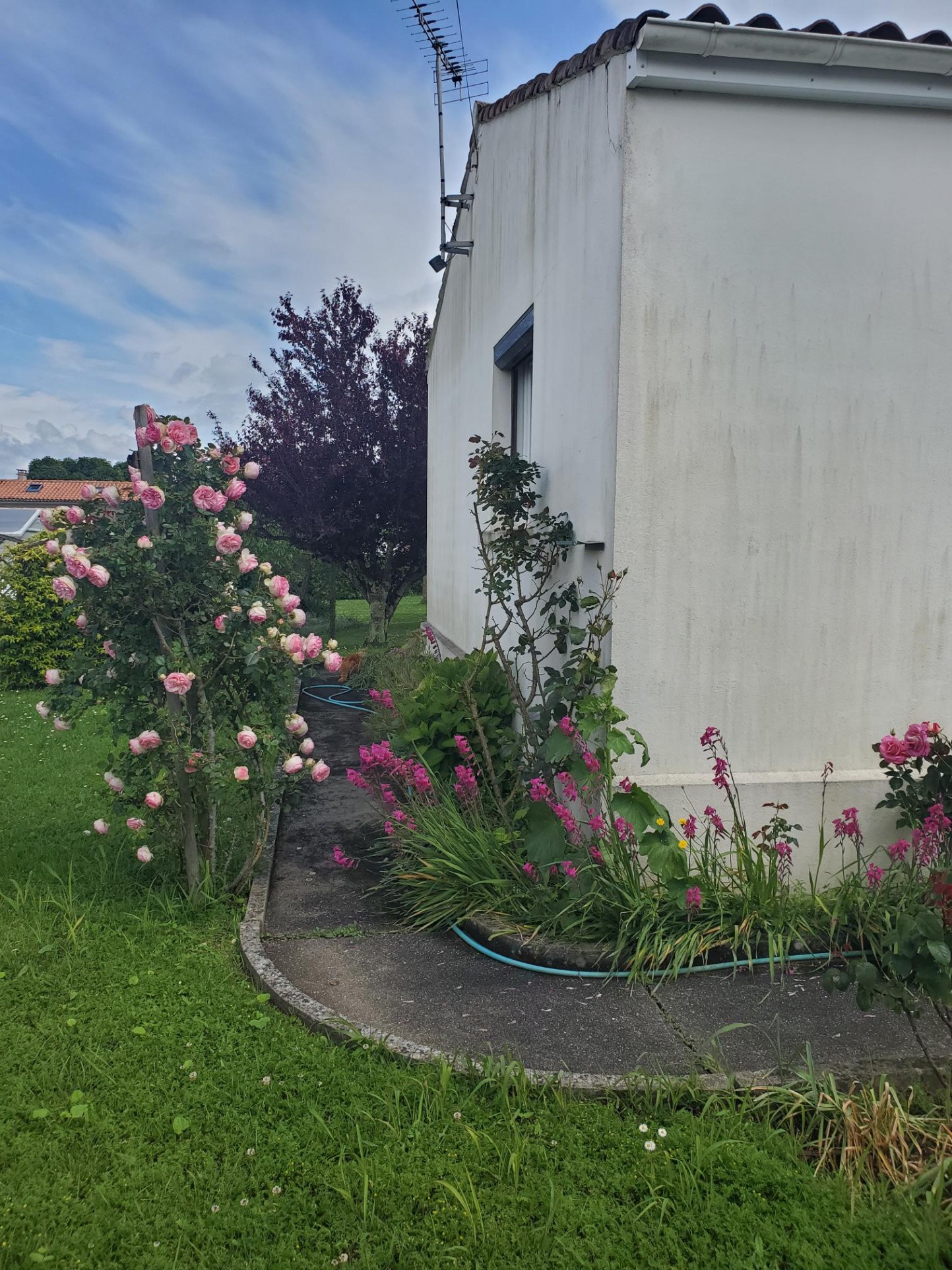 Vente Maison à Meschers-sur-Gironde 5 pièces