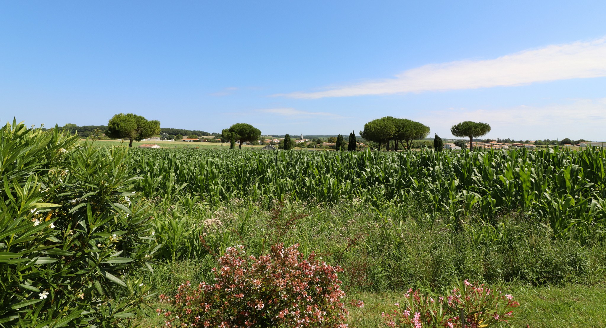 Vente Maison à Arces 7 pièces