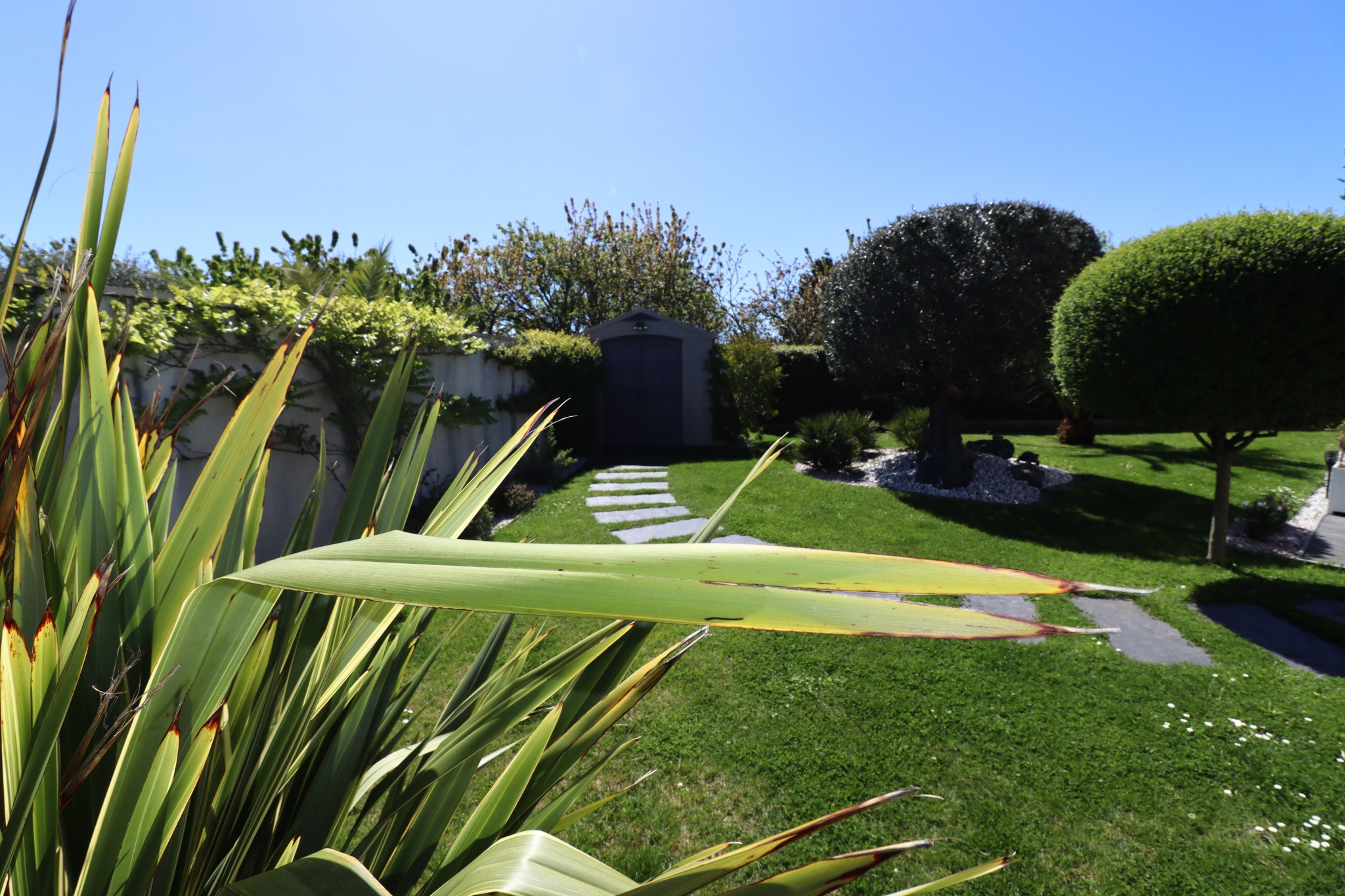 Vente Maison à Meschers-sur-Gironde 6 pièces