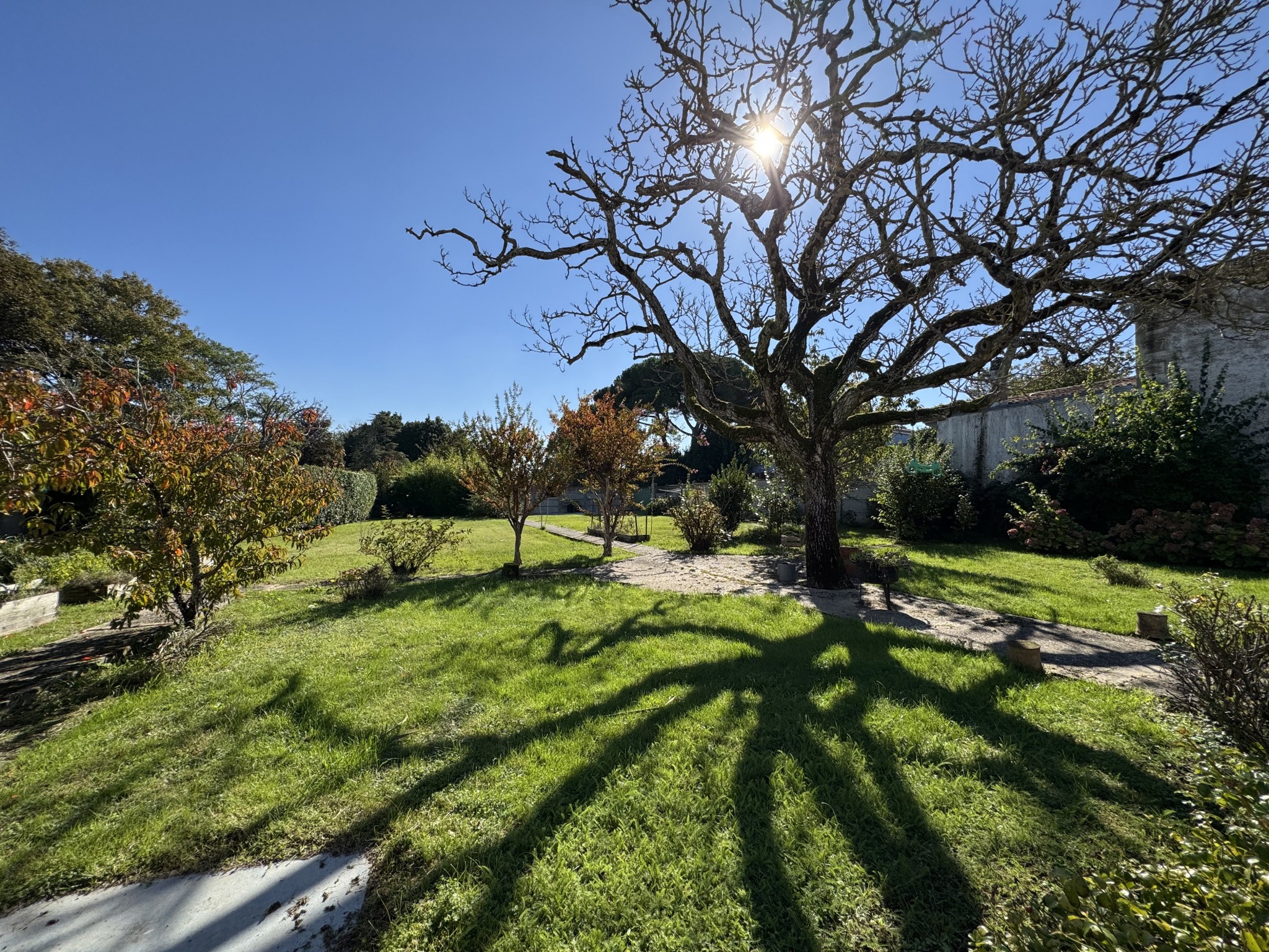 Vente Maison à Meschers-sur-Gironde 6 pièces