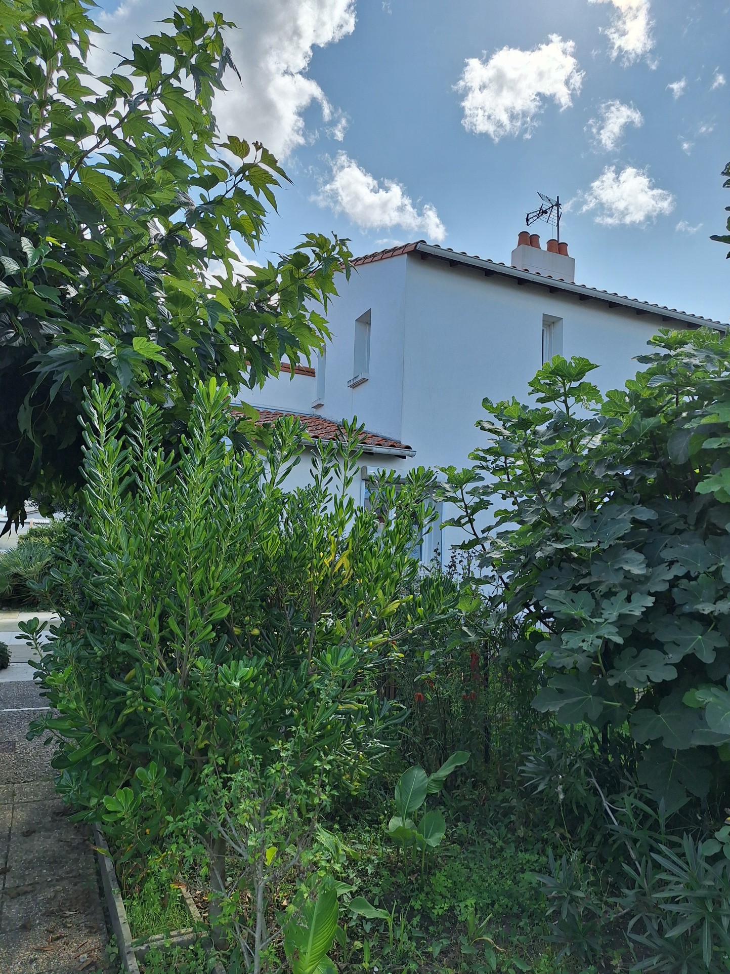 Vente Maison à Royan 7 pièces