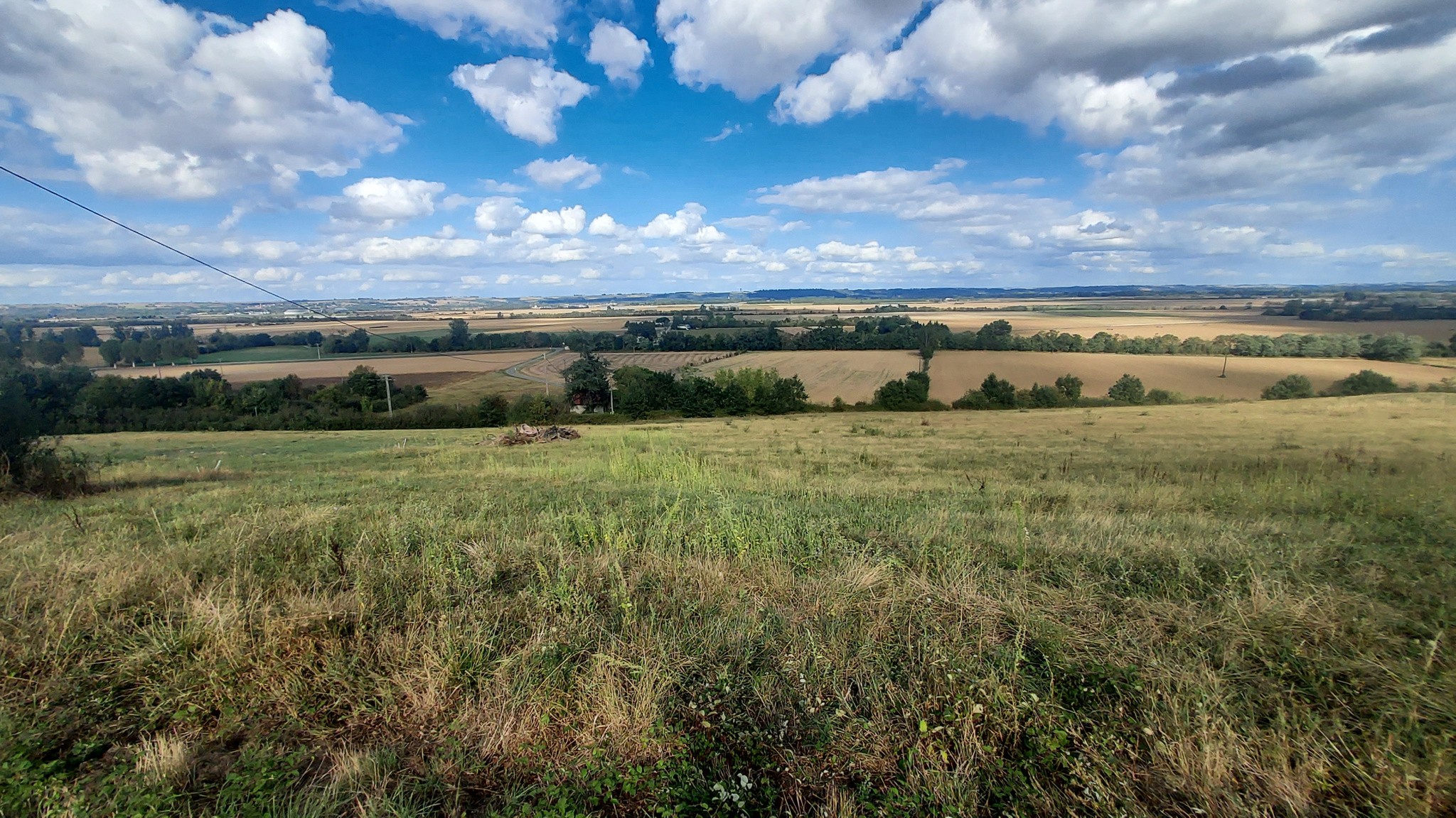 Vente Terrain à Saverdun 0 pièce