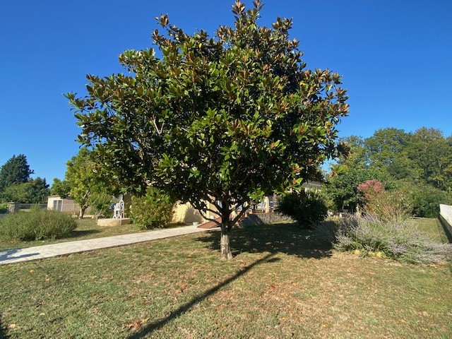 Vente Maison à Alzonne 5 pièces