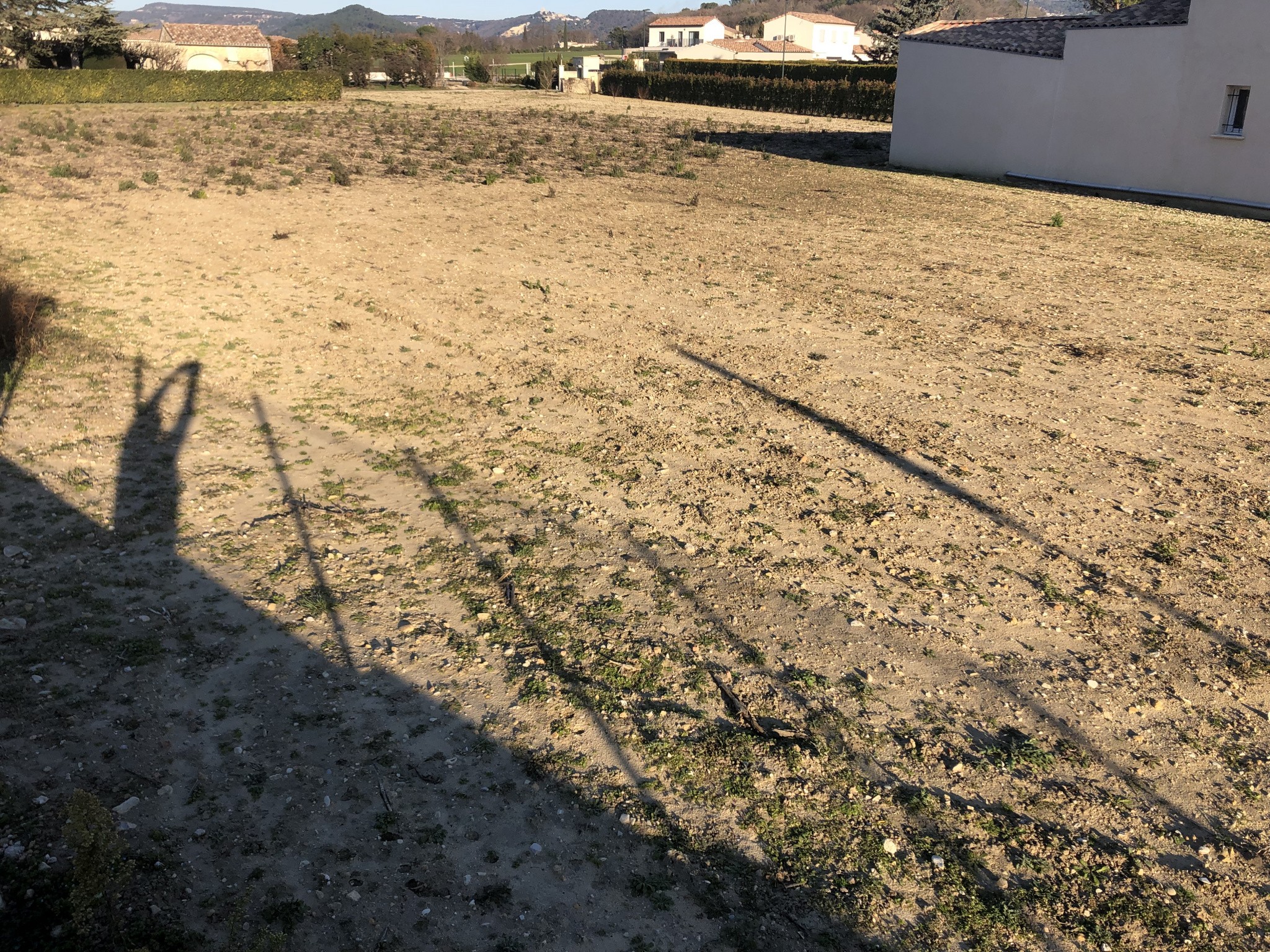 Vente Terrain à Saint-Paul-Trois-Châteaux 0 pièce