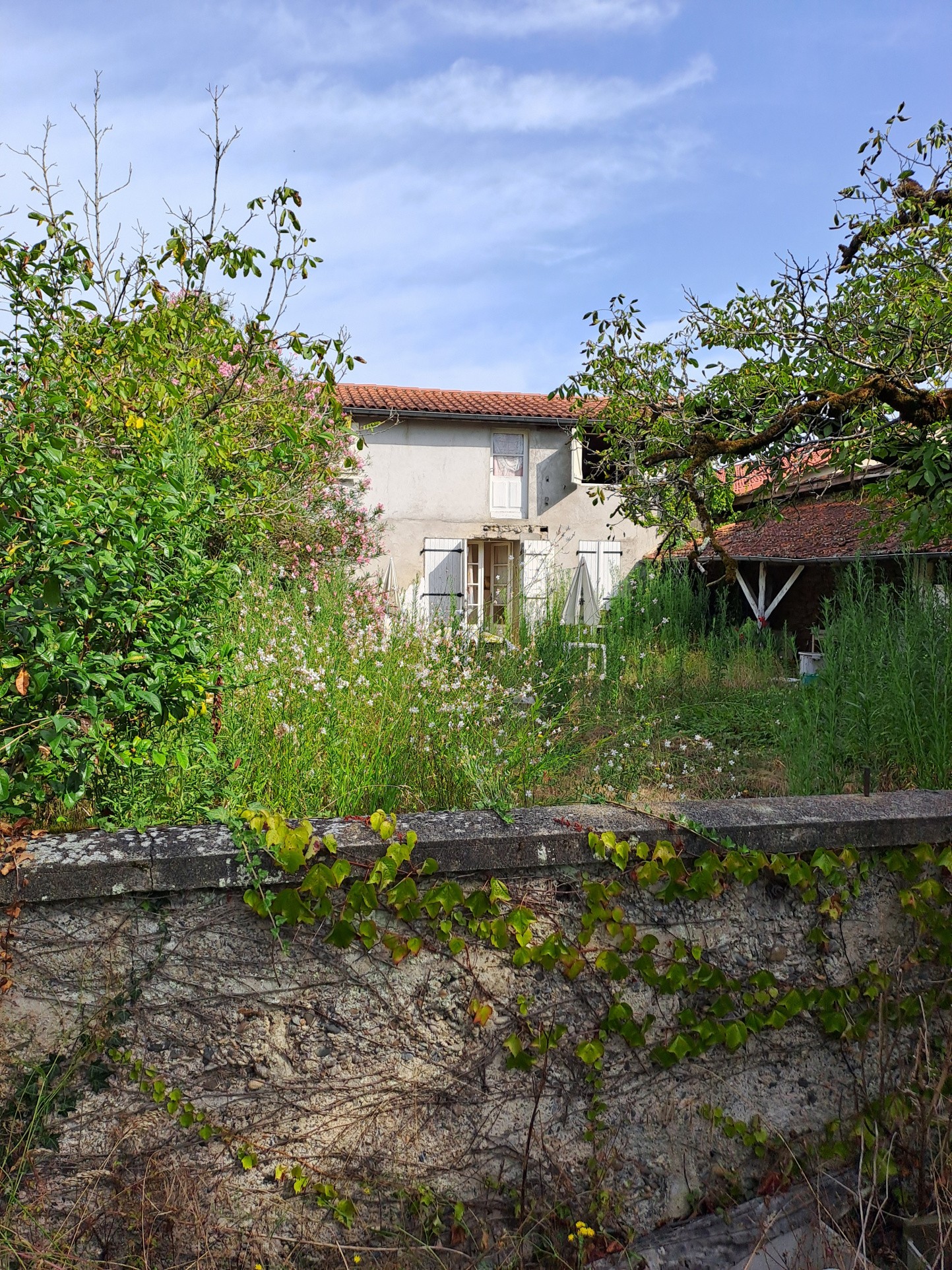 Vente Maison à Tasque 4 pièces