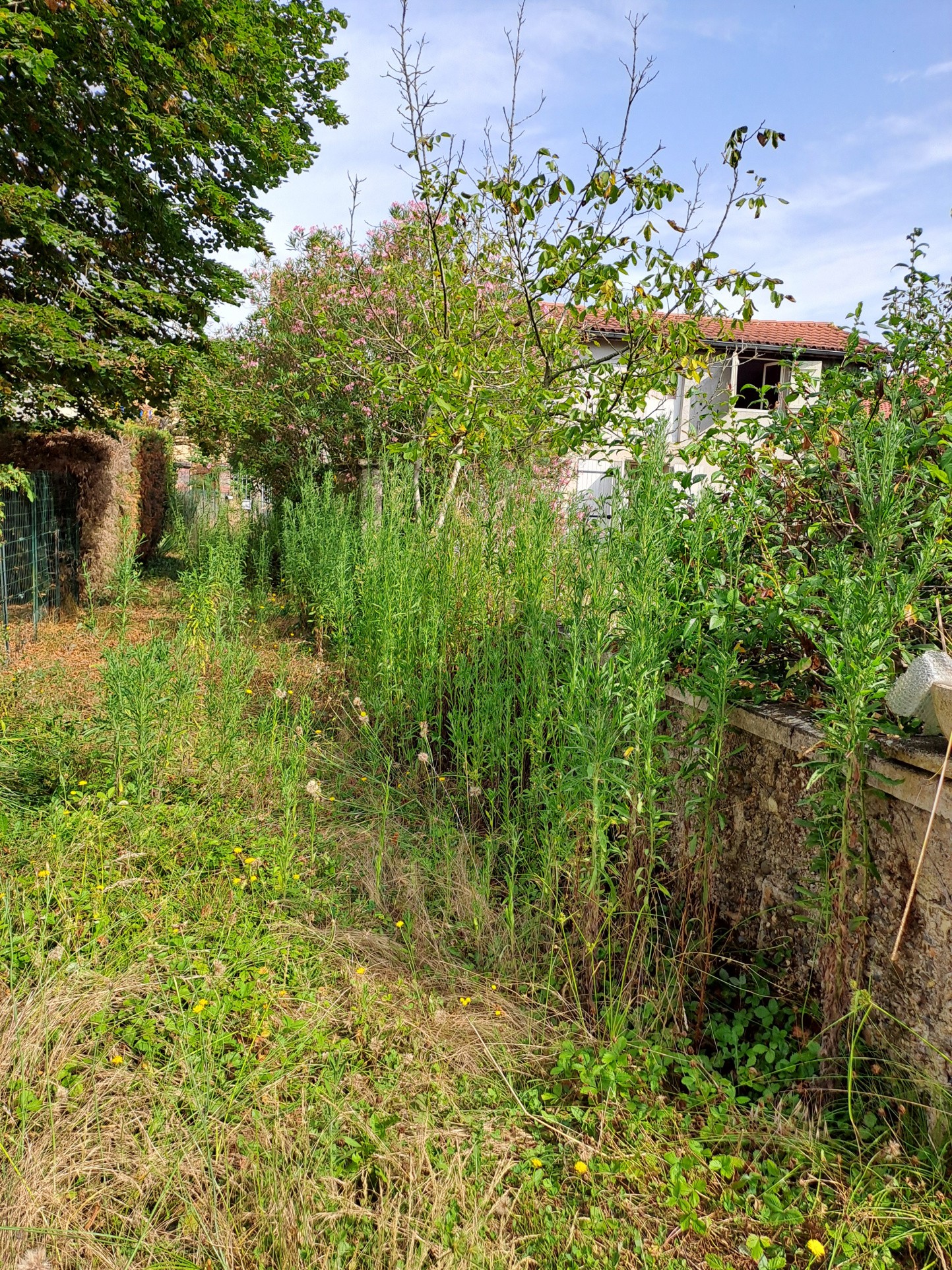 Vente Maison à Tasque 4 pièces