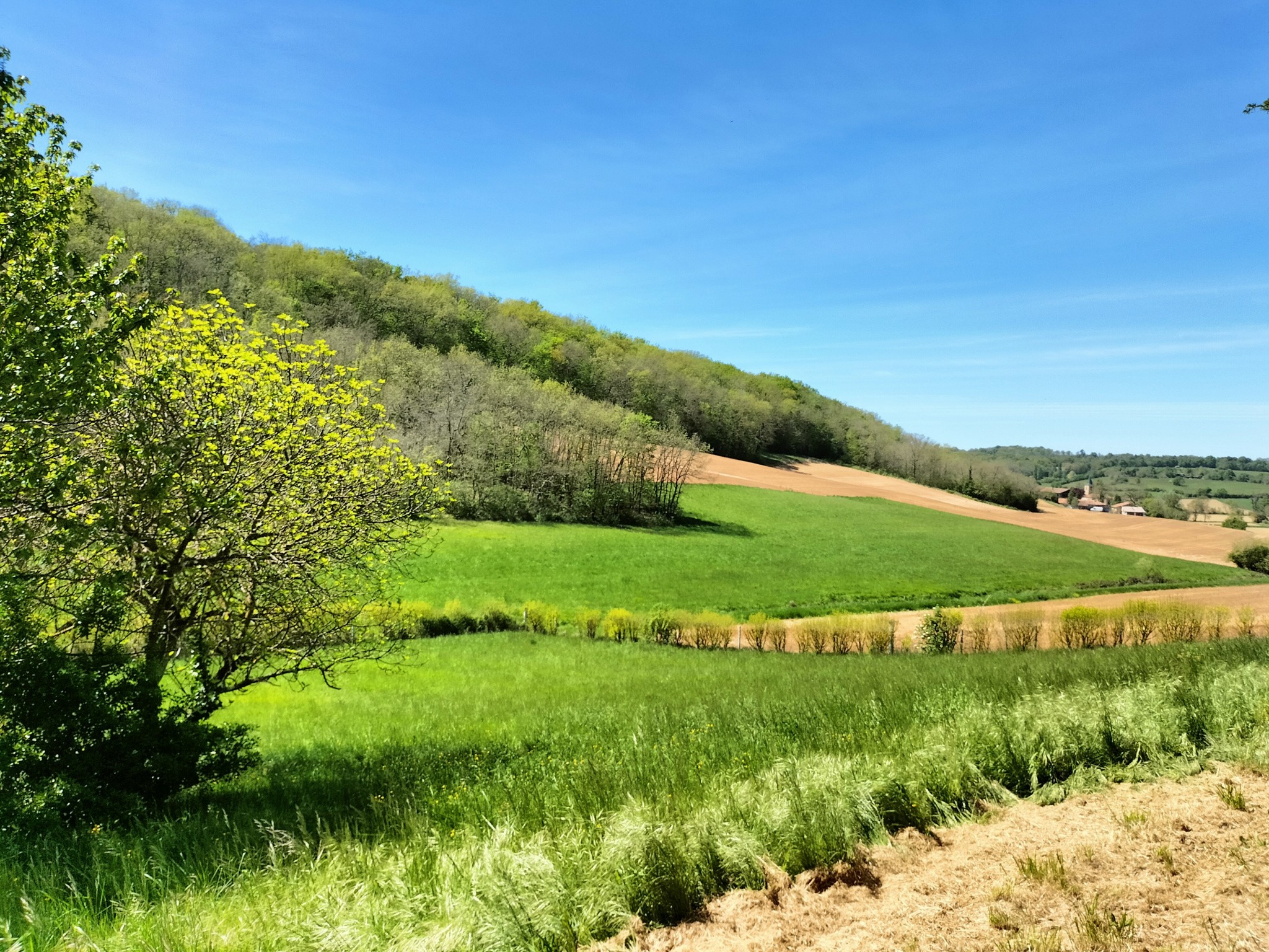 Vente Maison à Seissan 4 pièces