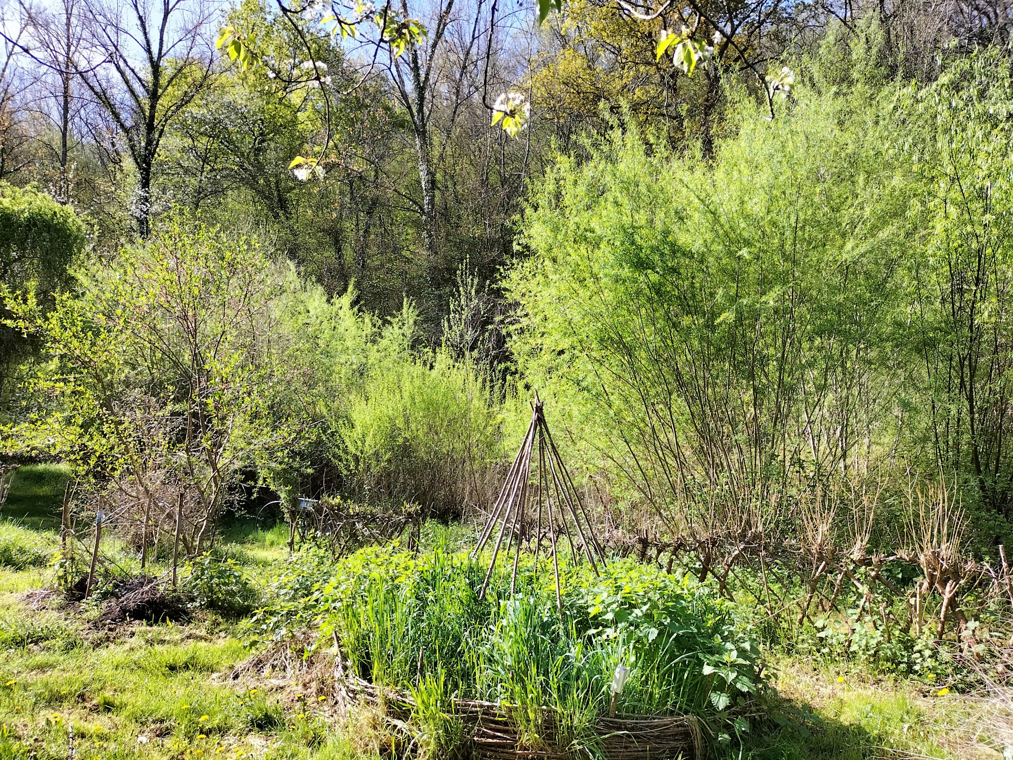 Vente Maison à Mirande 6 pièces