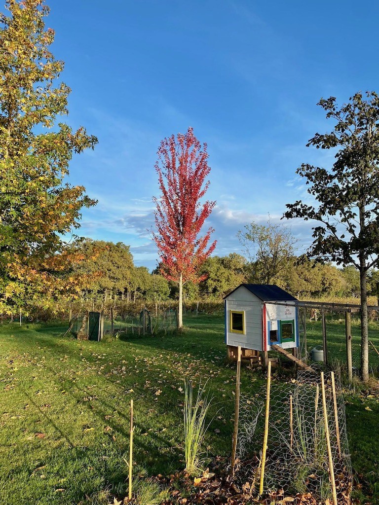 Vente Maison à Eauze 8 pièces