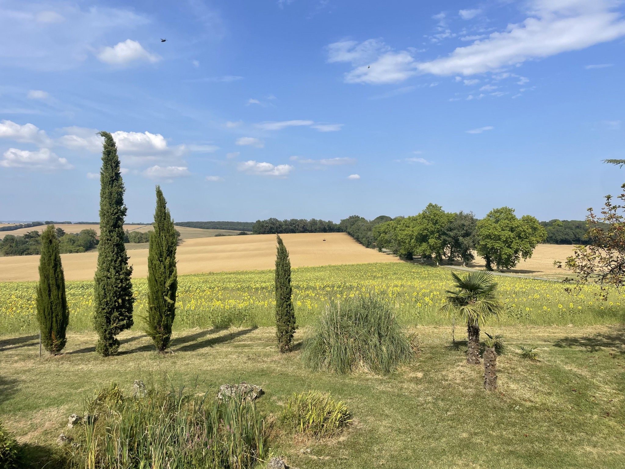 Vente Maison à Castelnau-Barbarens 7 pièces