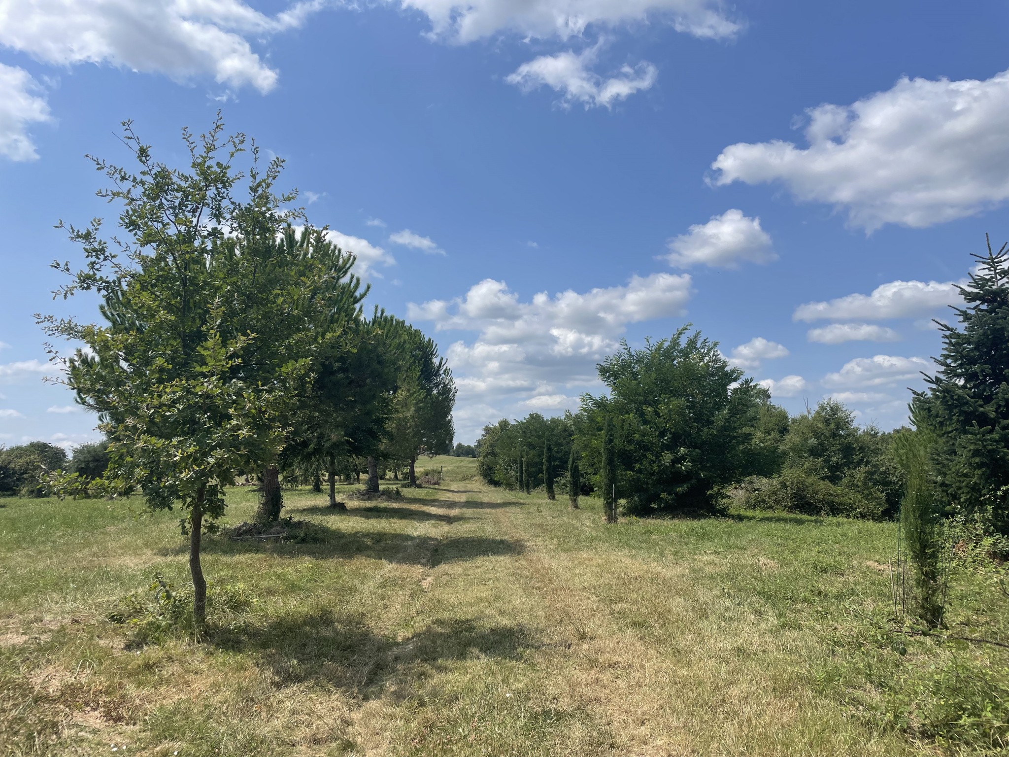 Vente Maison à l'Isle-en-Dodon 8 pièces