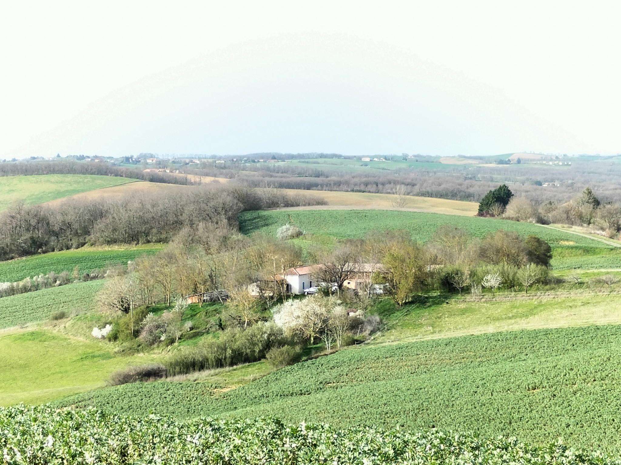 Vente Maison à Simorre 6 pièces