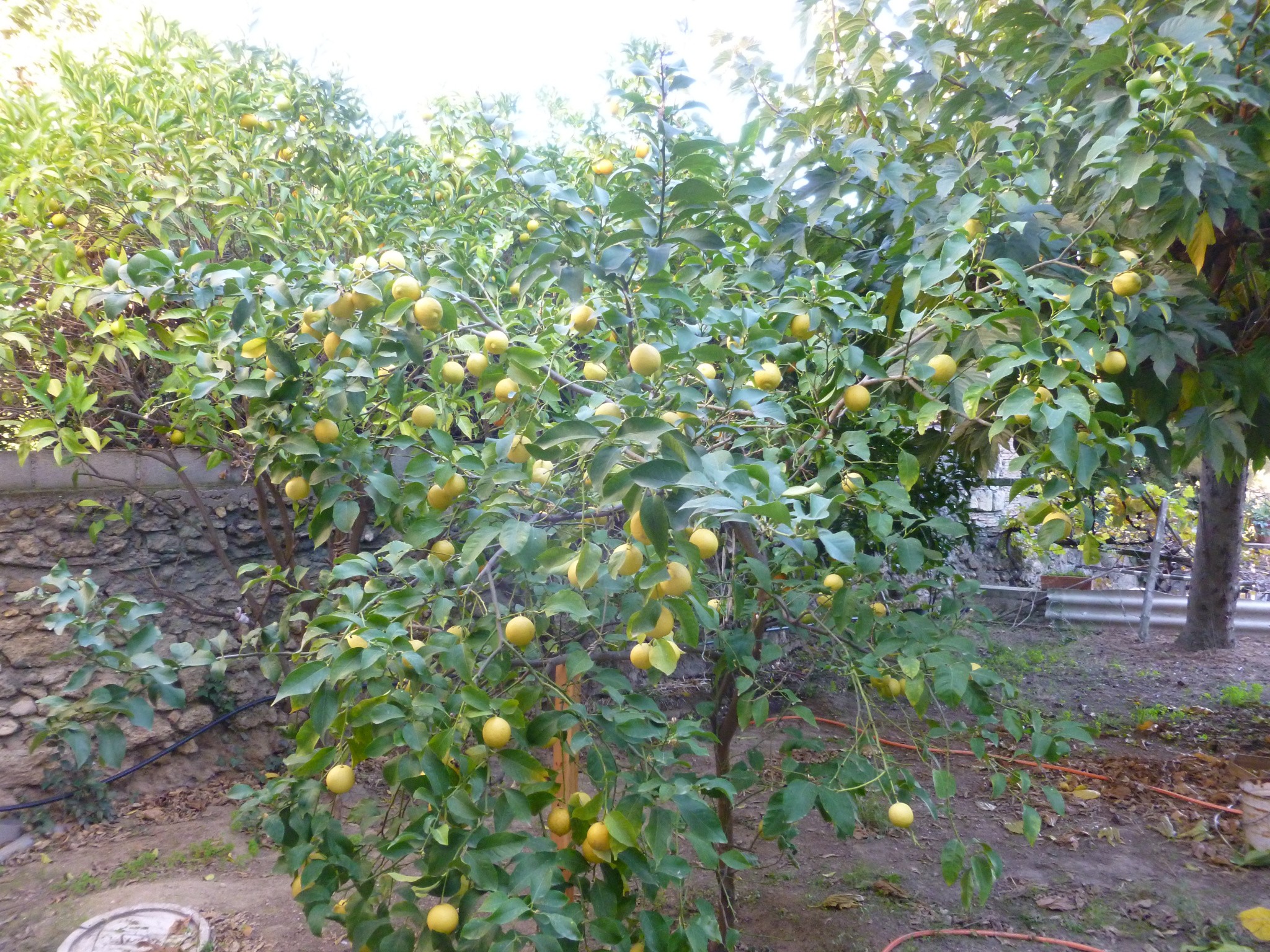 Vente Maison à Béziers 4 pièces