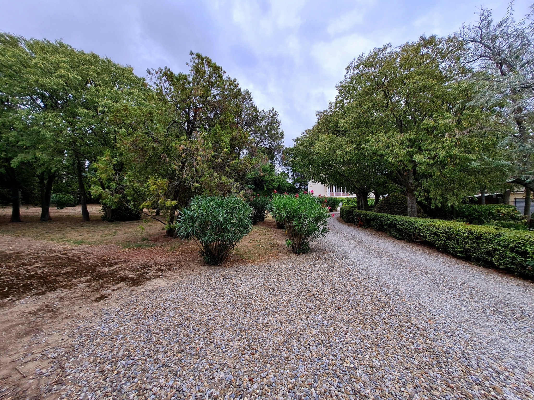 Vente Maison à Saint-Couat-d'Aude 18 pièces