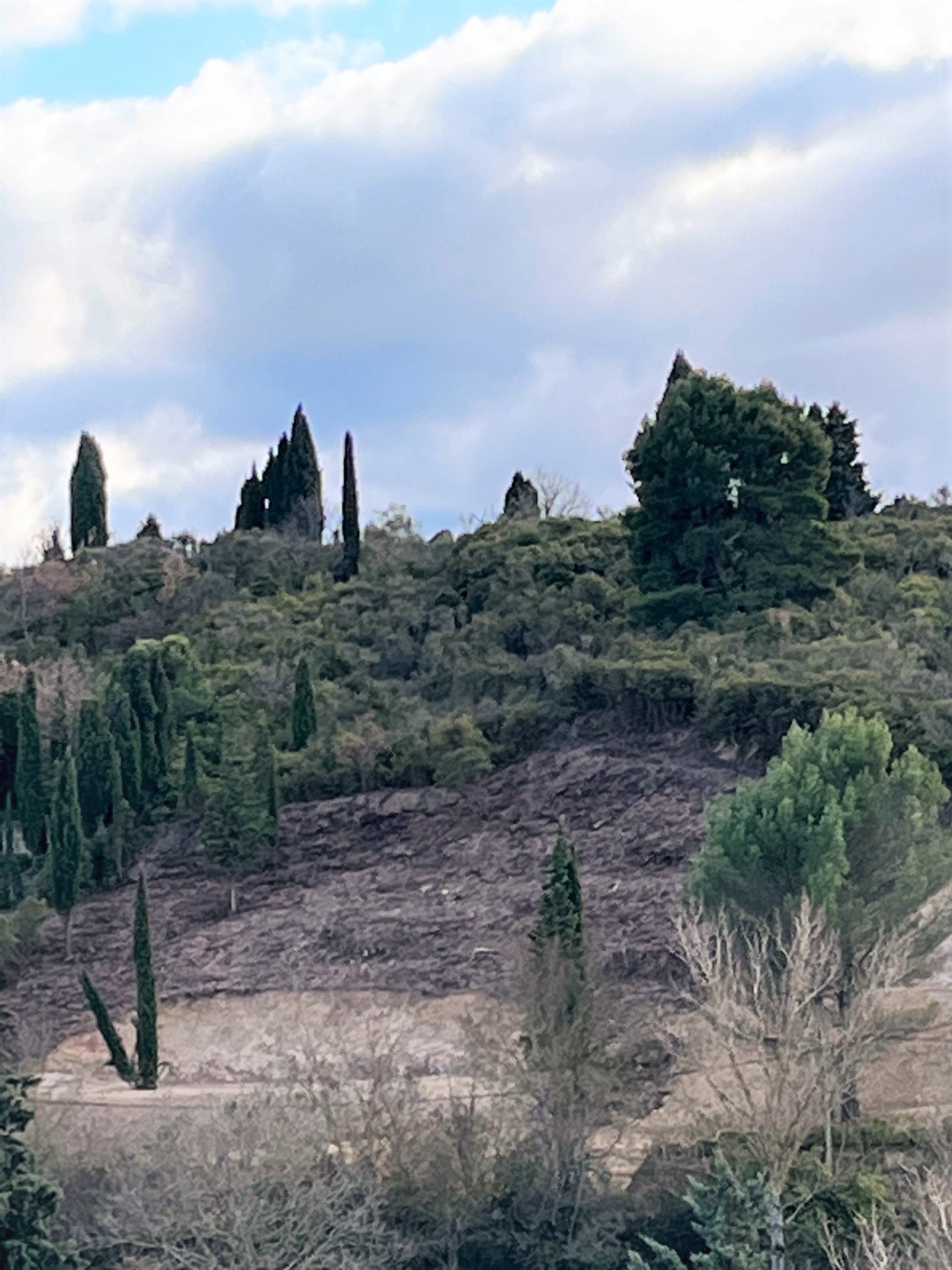 Vente Terrain à Limoux 0 pièce