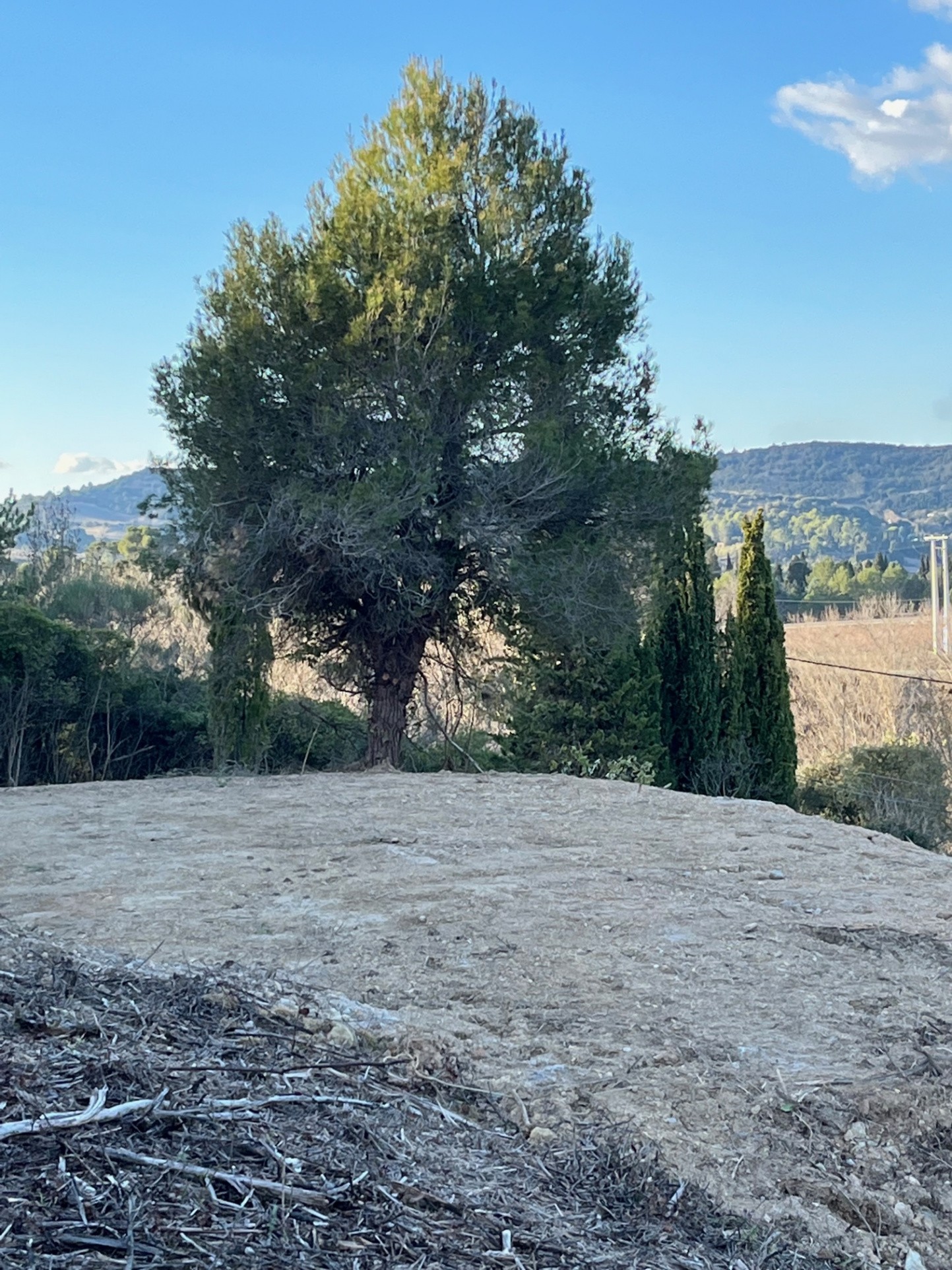 Vente Terrain à Limoux 0 pièce