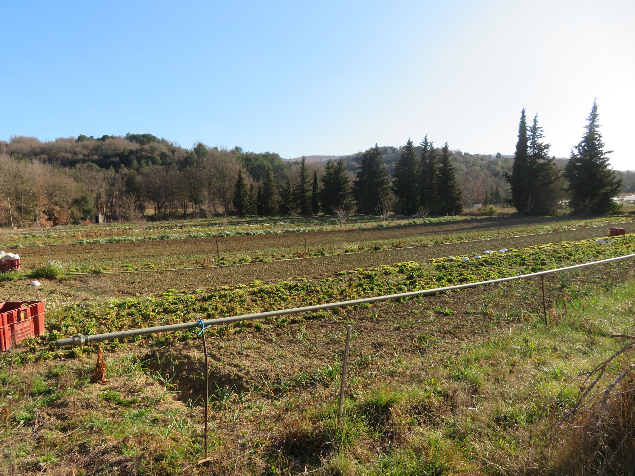 Vente Maison à Limoux 0 pièce