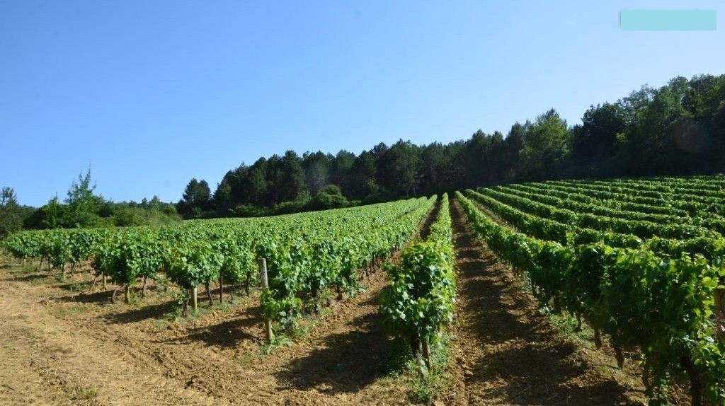 Vente Maison à Limoux 5 pièces