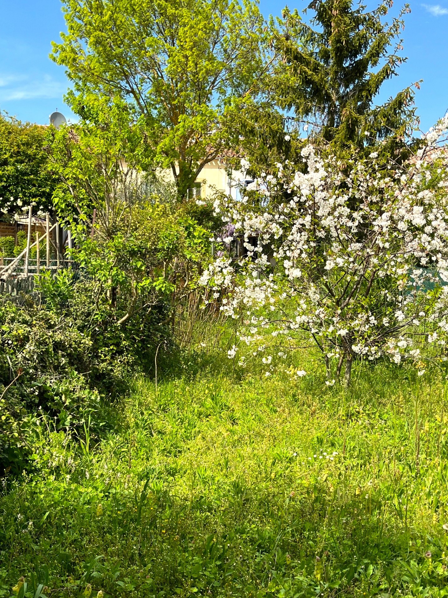 Vente Maison à Limoux 6 pièces