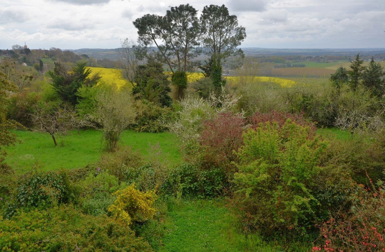 Vente Maison à Casteljaloux 12 pièces