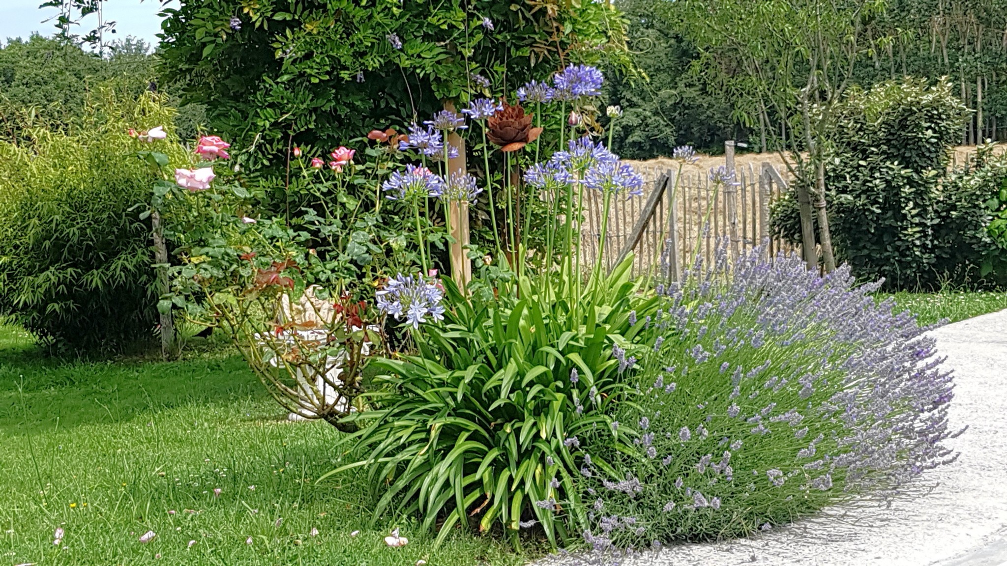 Vente Maison à Langon 6 pièces