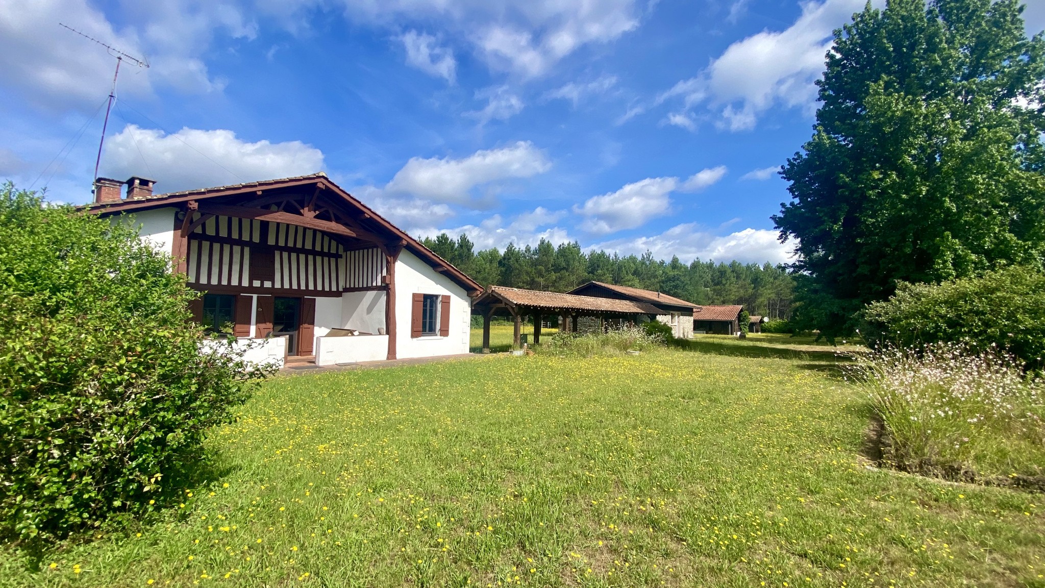 Vente Maison à Pissos 5 pièces