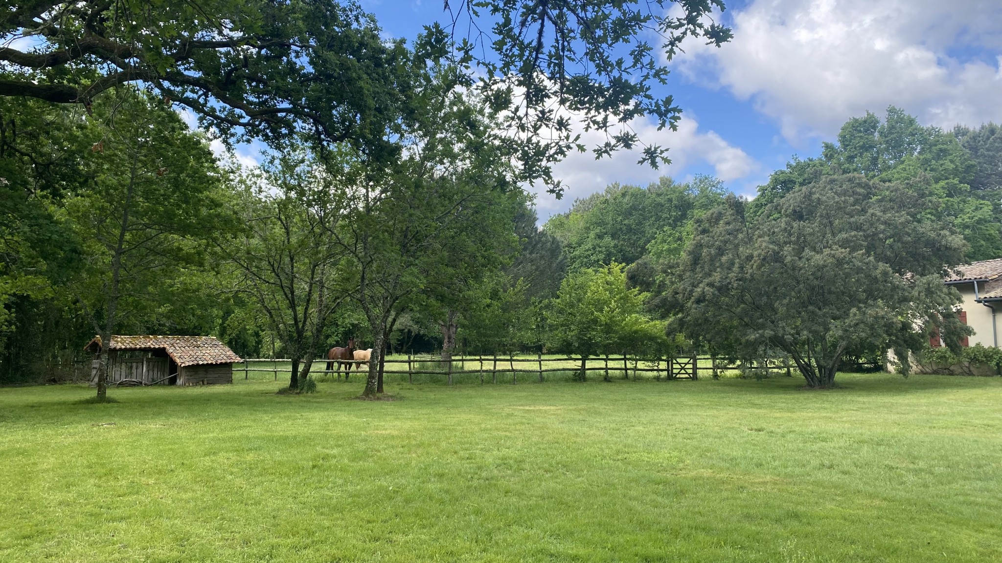 Vente Maison à Belin-Béliet 7 pièces