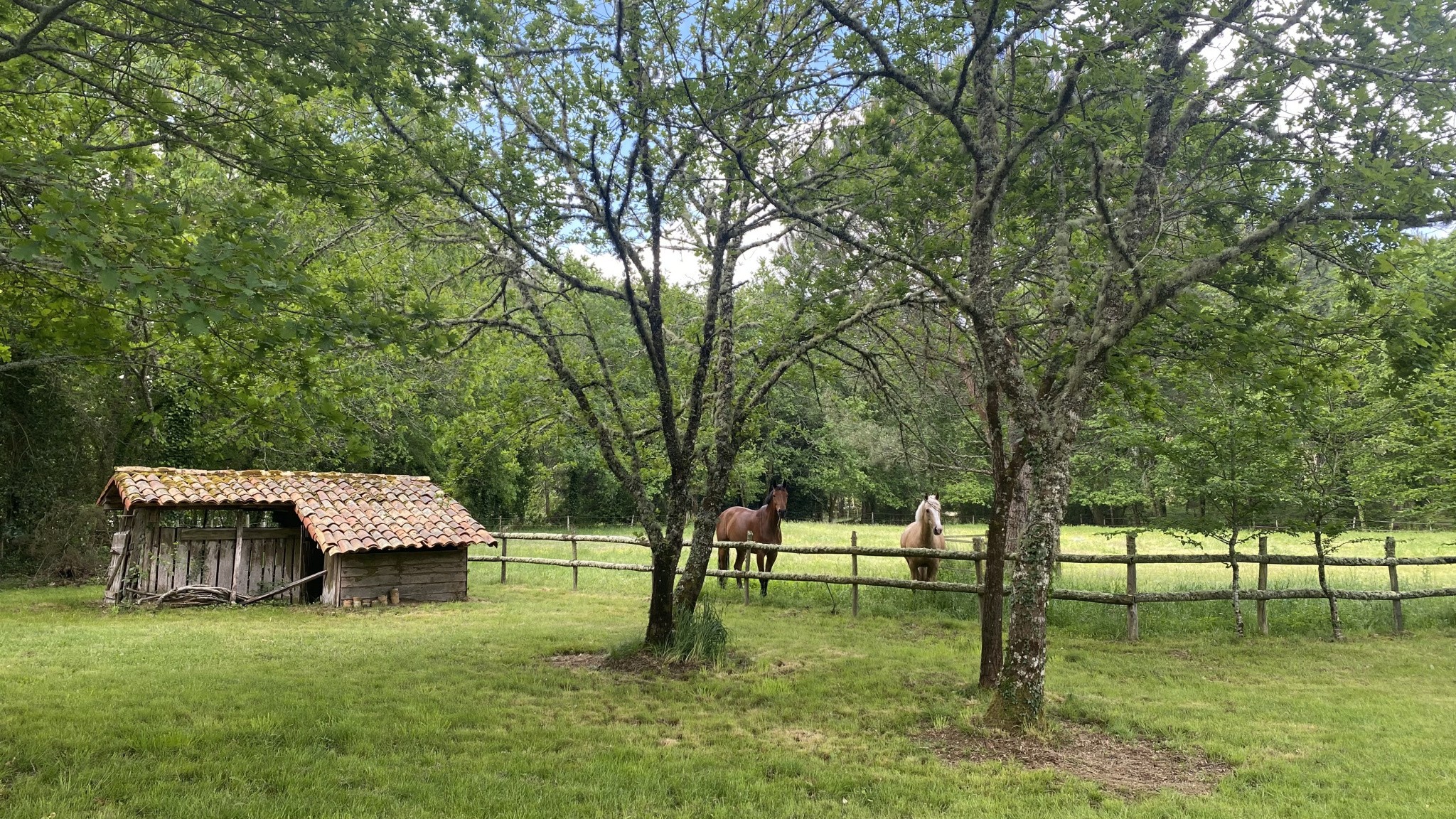 Vente Maison à Belin-Béliet 7 pièces