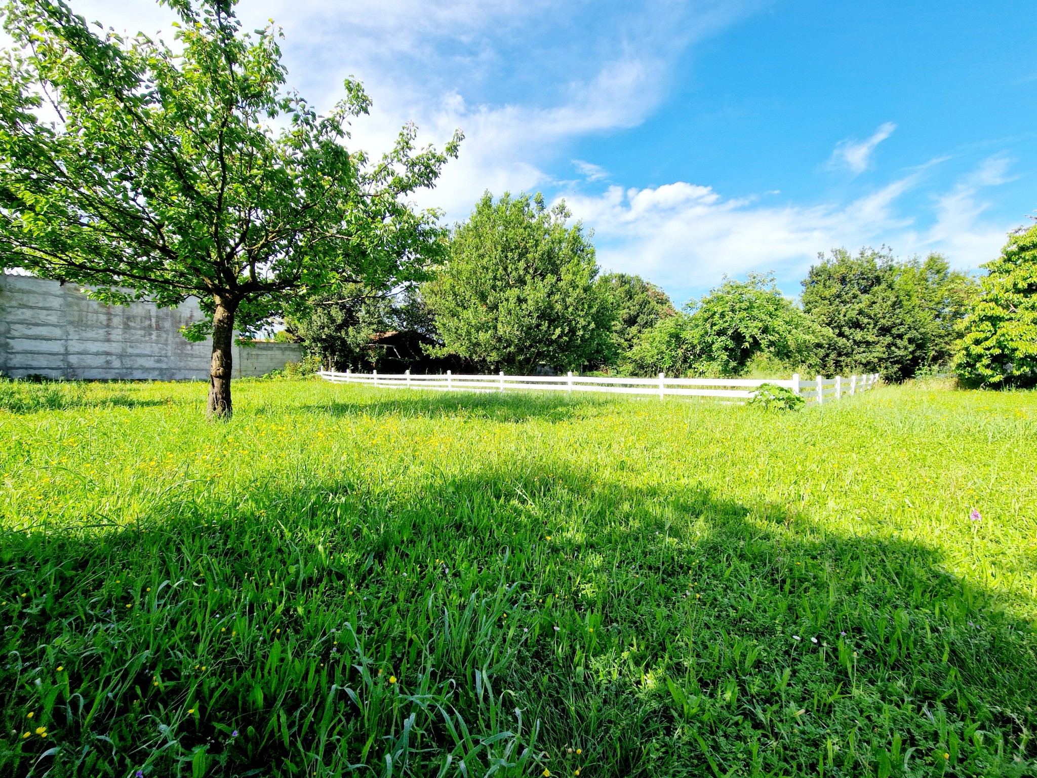 Vente Terrain à la Rochelle 0 pièce