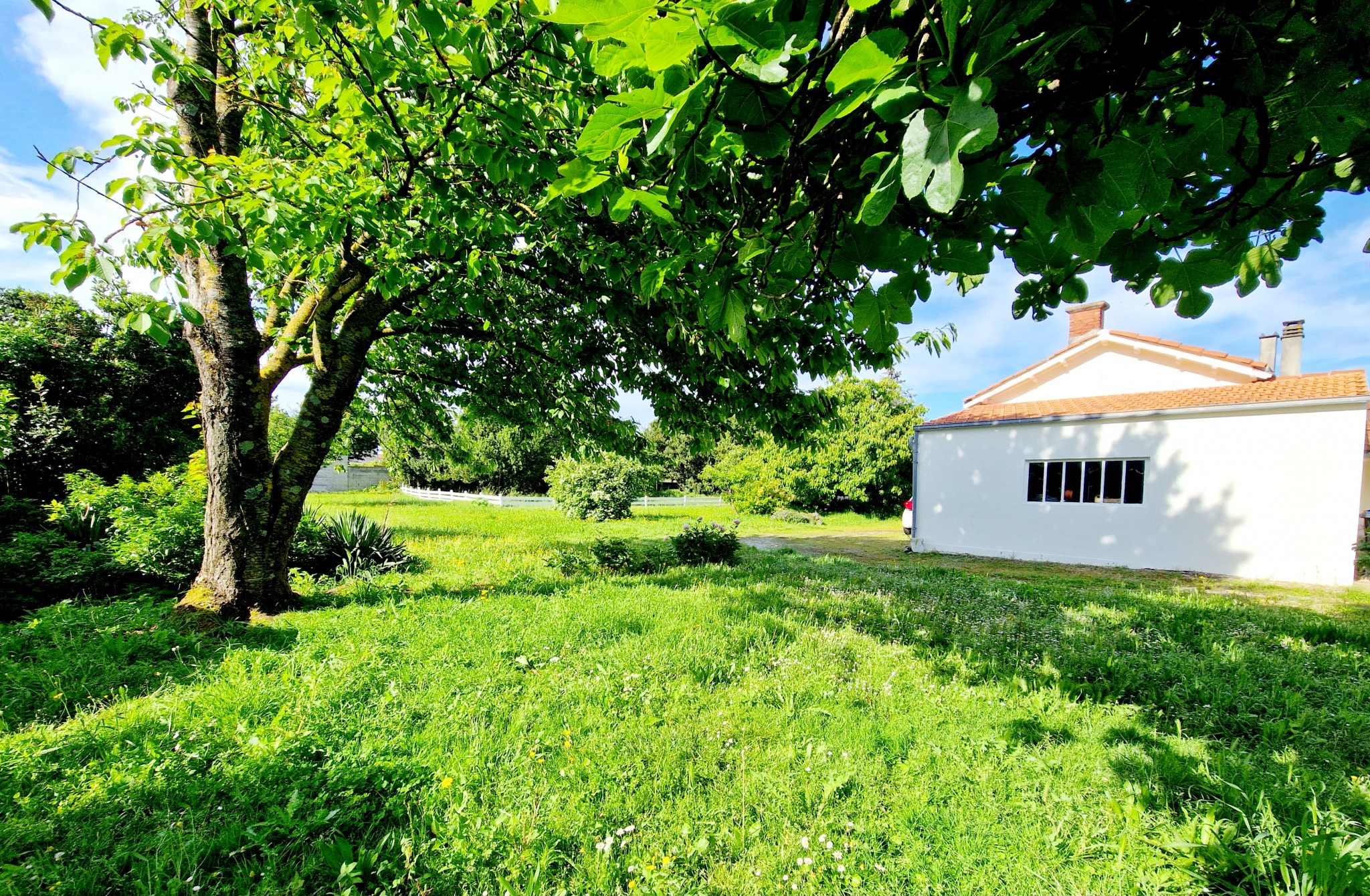 Vente Terrain à la Rochelle 0 pièce