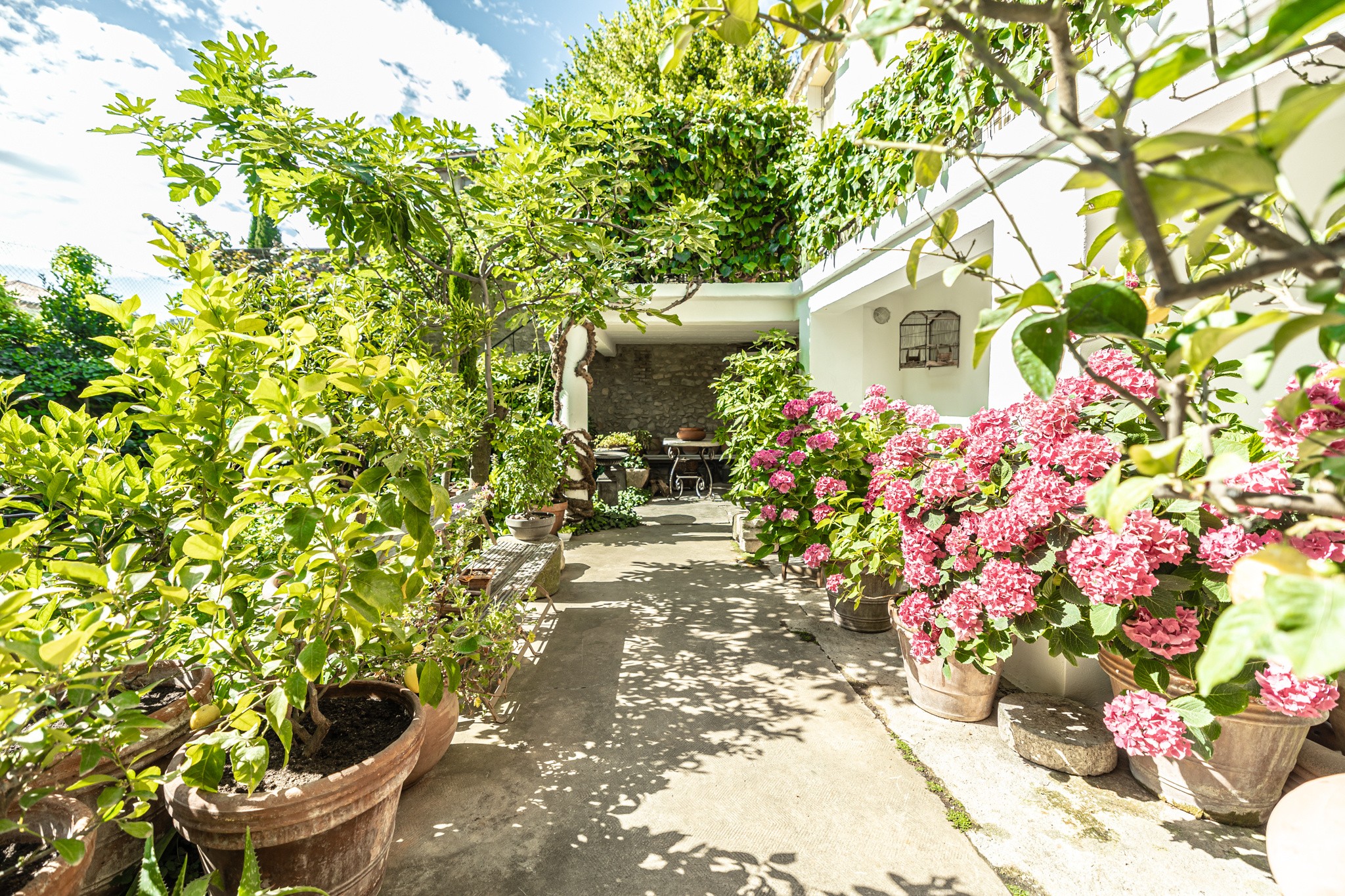 Vente Maison à Vaison-la-Romaine 15 pièces