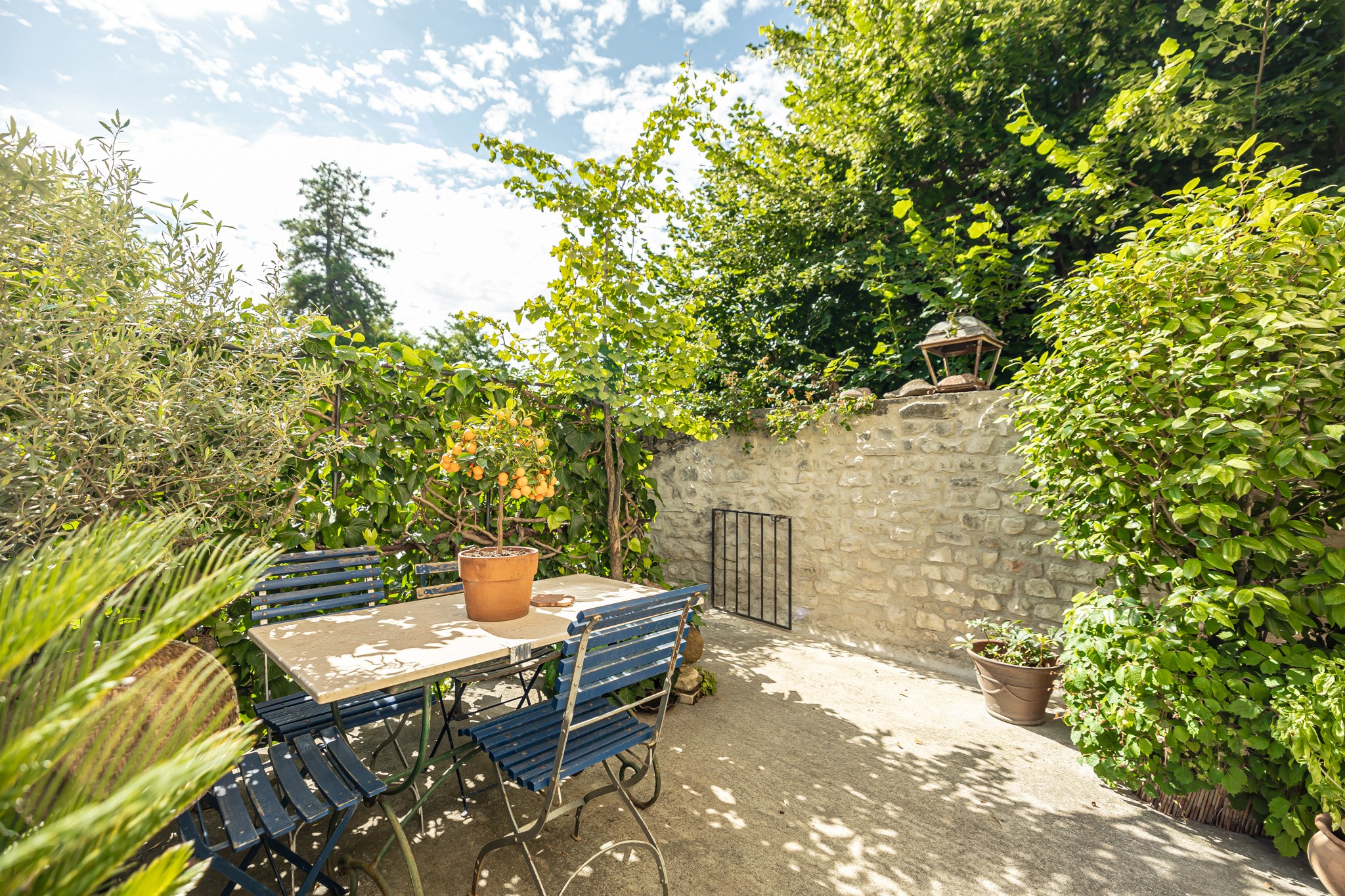 Vente Maison à Vaison-la-Romaine 15 pièces