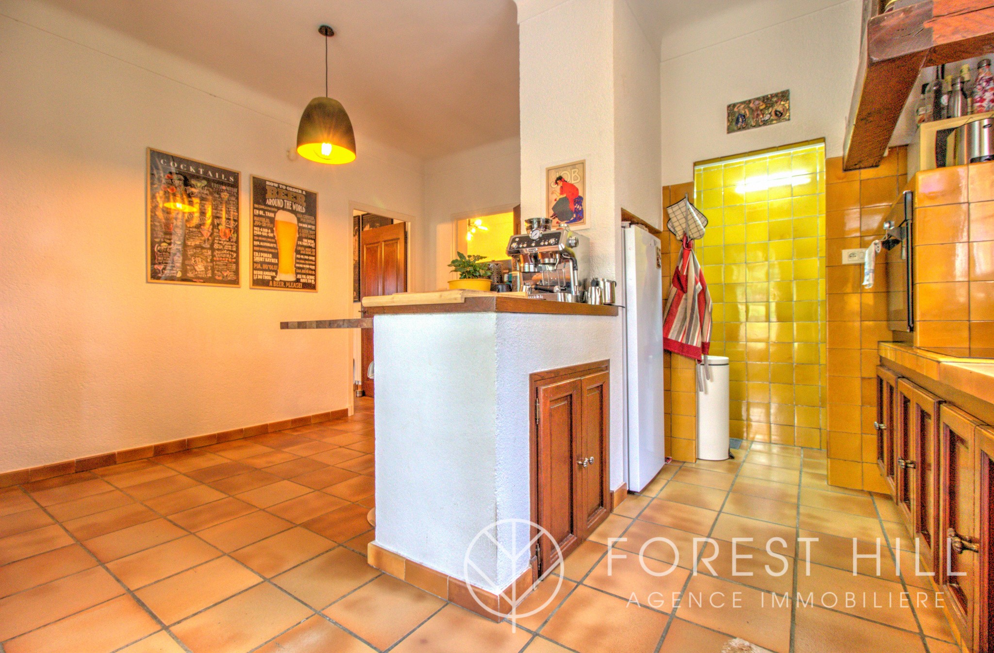 Vente Maison à Céret 5 pièces