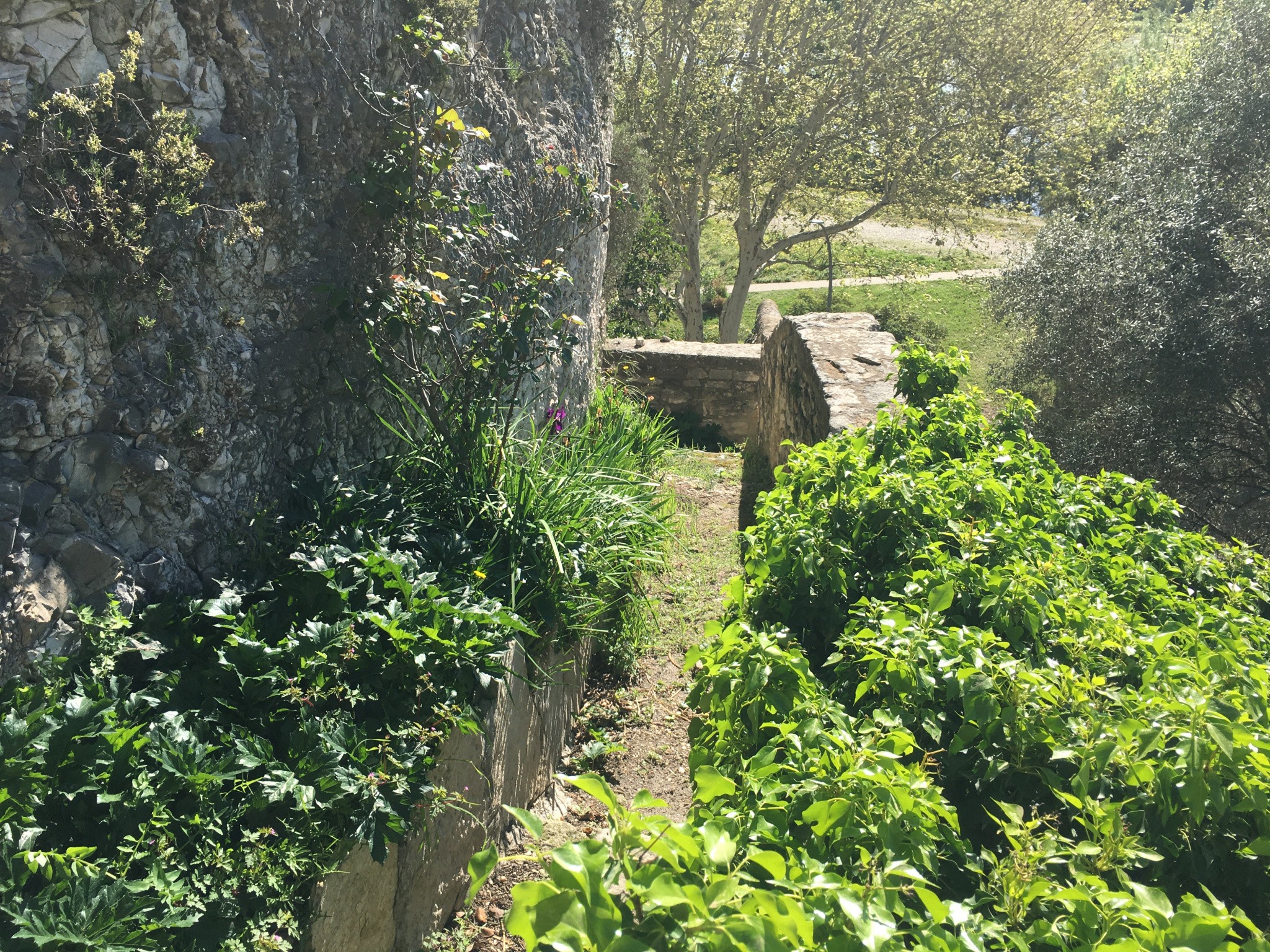 Vente Maison à Villeneuve-lès-Avignon 5 pièces