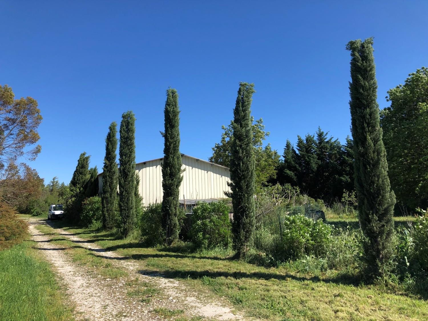 Vente Maison à l'Isle-sur-la-Sorgue 10 pièces