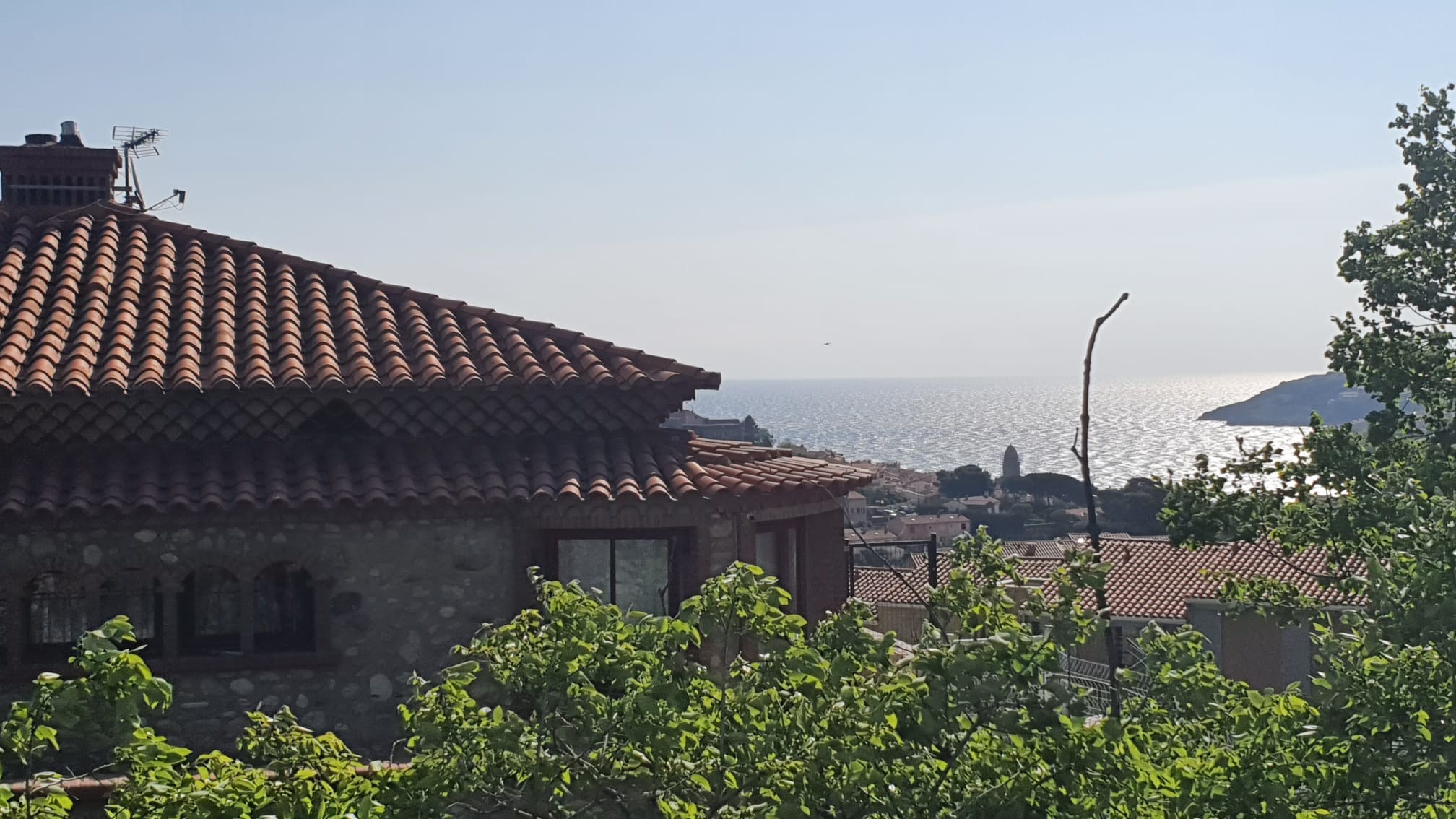 Vente Maison à Collioure 50 pièces