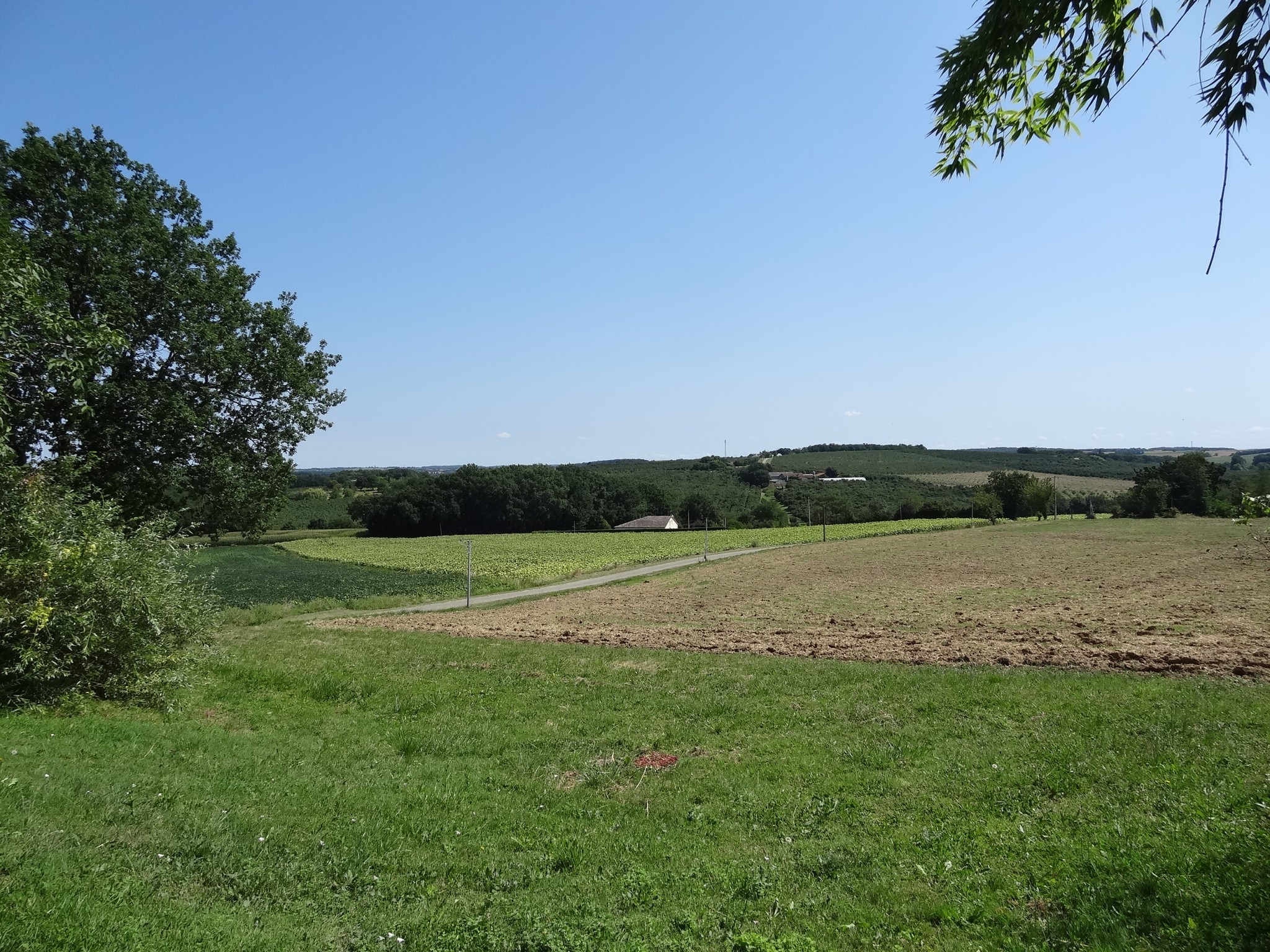 Vente Maison à Gontaud-de-Nogaret 13 pièces