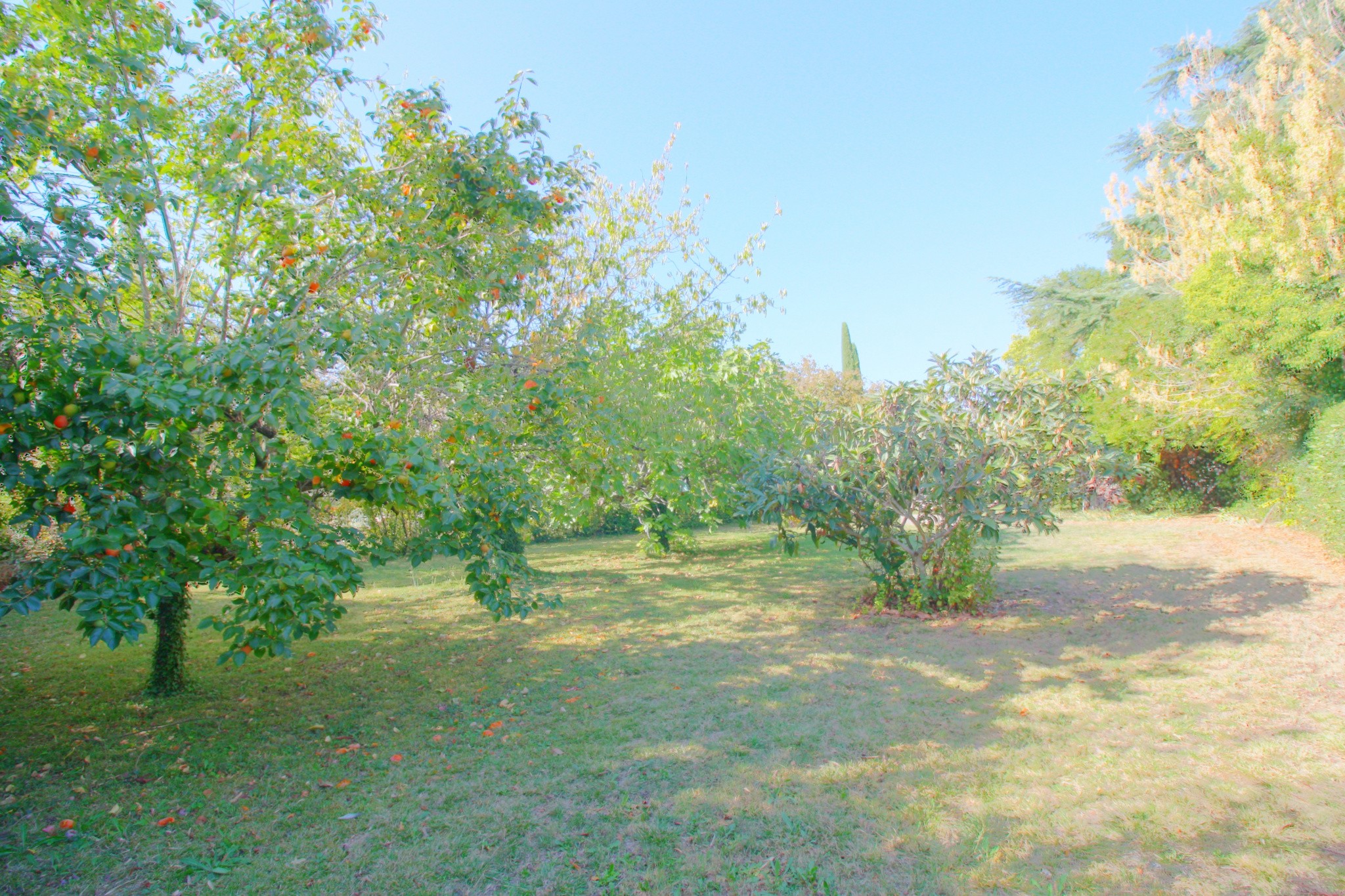 Vente Maison à Uzès 8 pièces