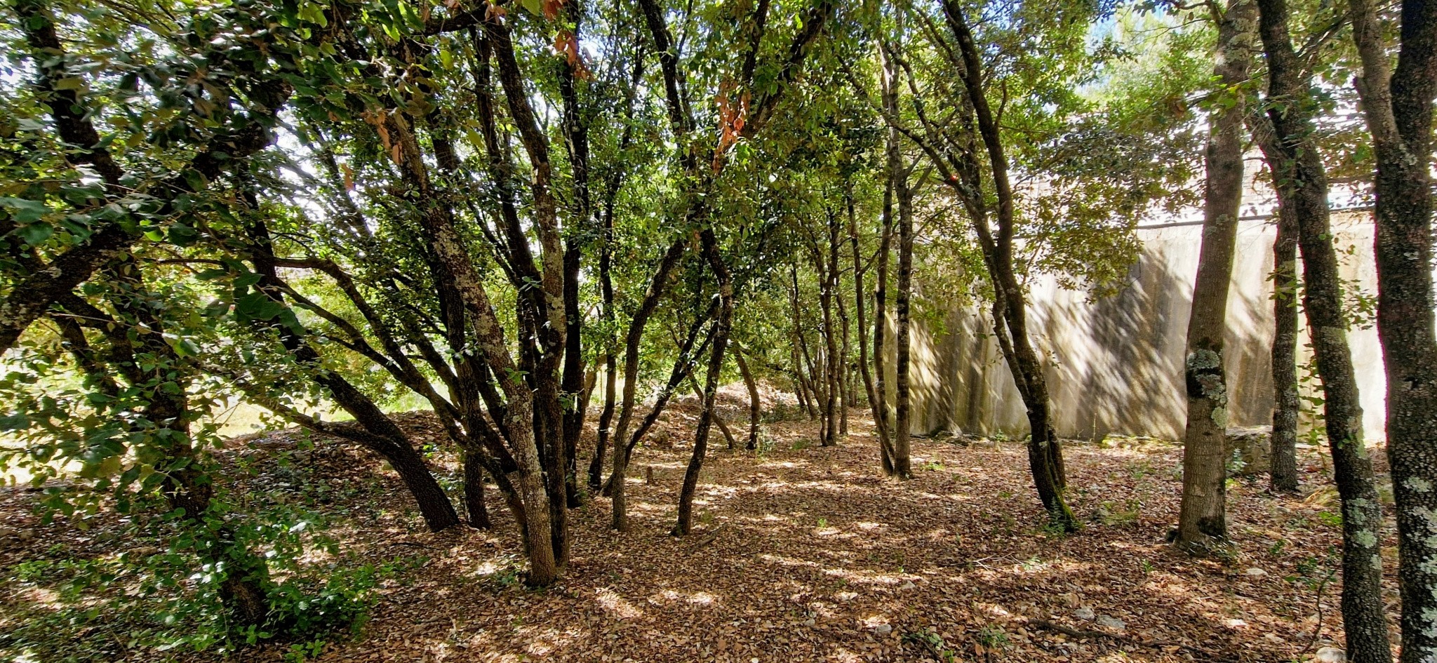 Vente Maison à Uzès 5 pièces